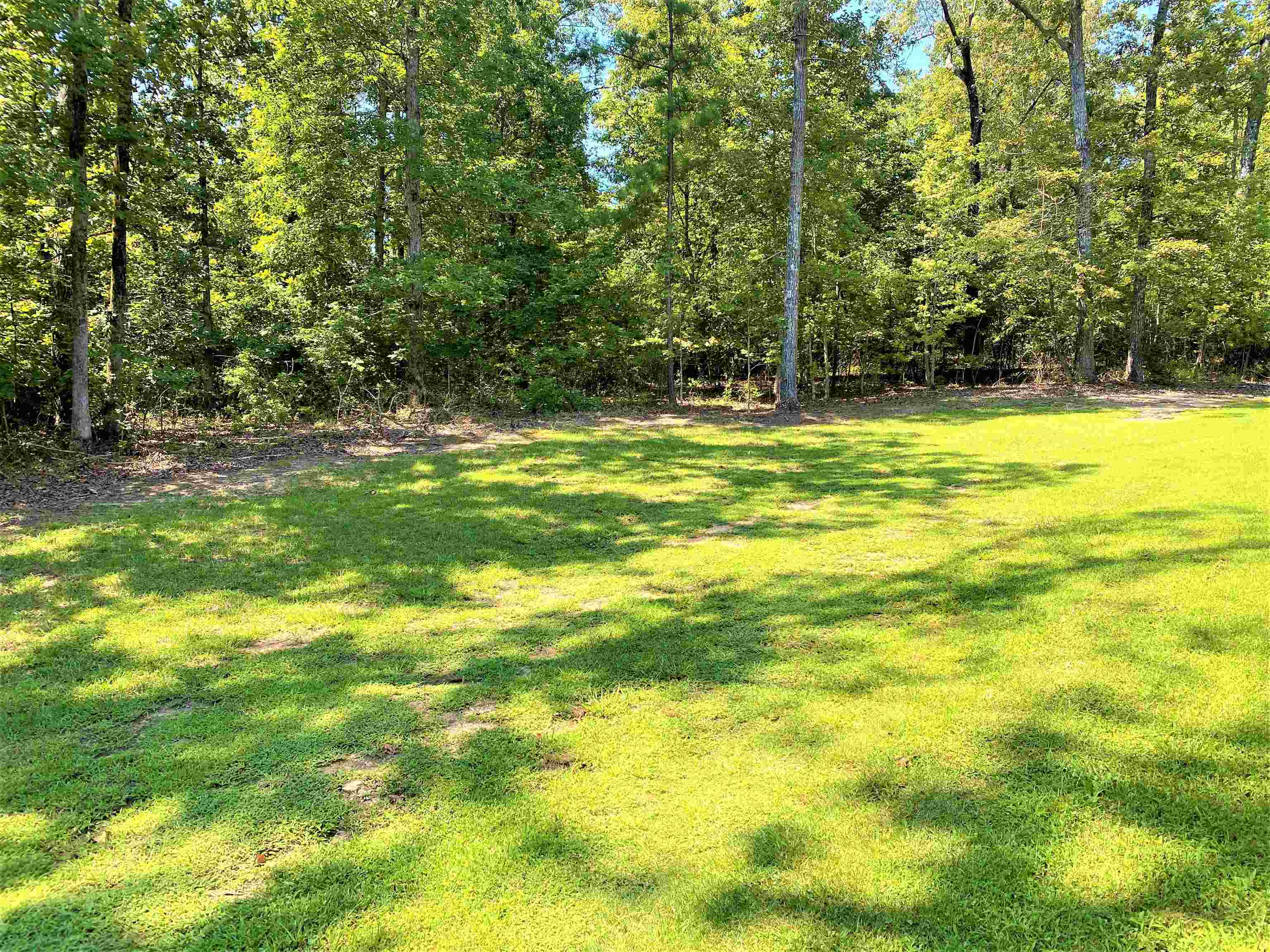 30 Masters Court Counce, TN 38326 - Photo 2 of 27 a view of a swimming pool with a big yard and large trees