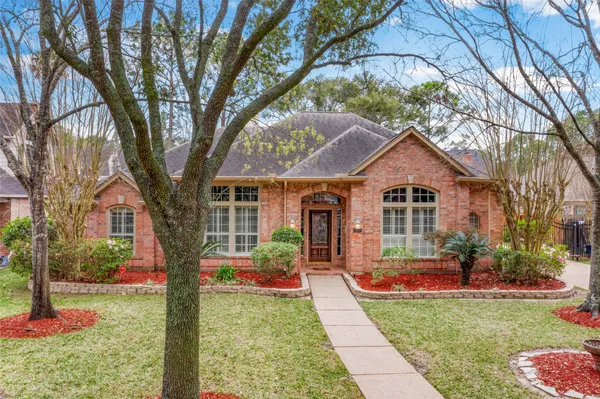 a view of a garden with a tree
