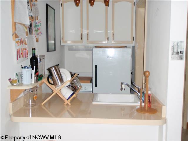 13 Pendletonheim Circle Davis, WV 26260 - Photo 2 of 6 Gallery Image 2