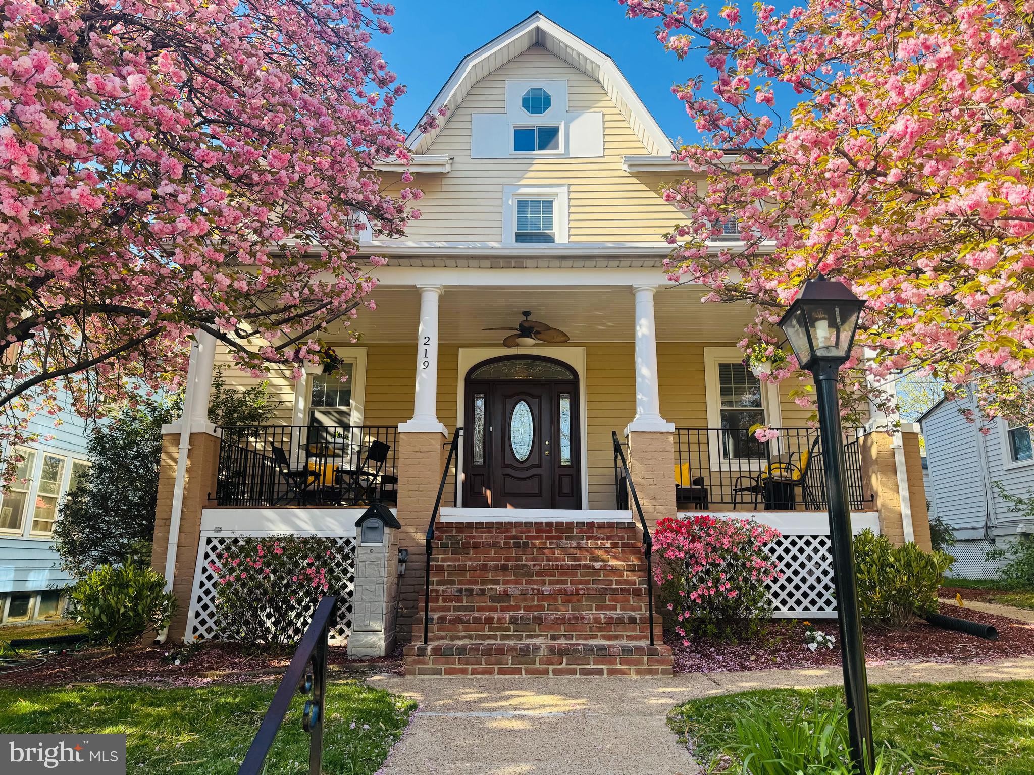 219 Rittenhouse Street Northwest Washington, DC 20011 - Photo 58 of 68 Front with Cherry blossoms