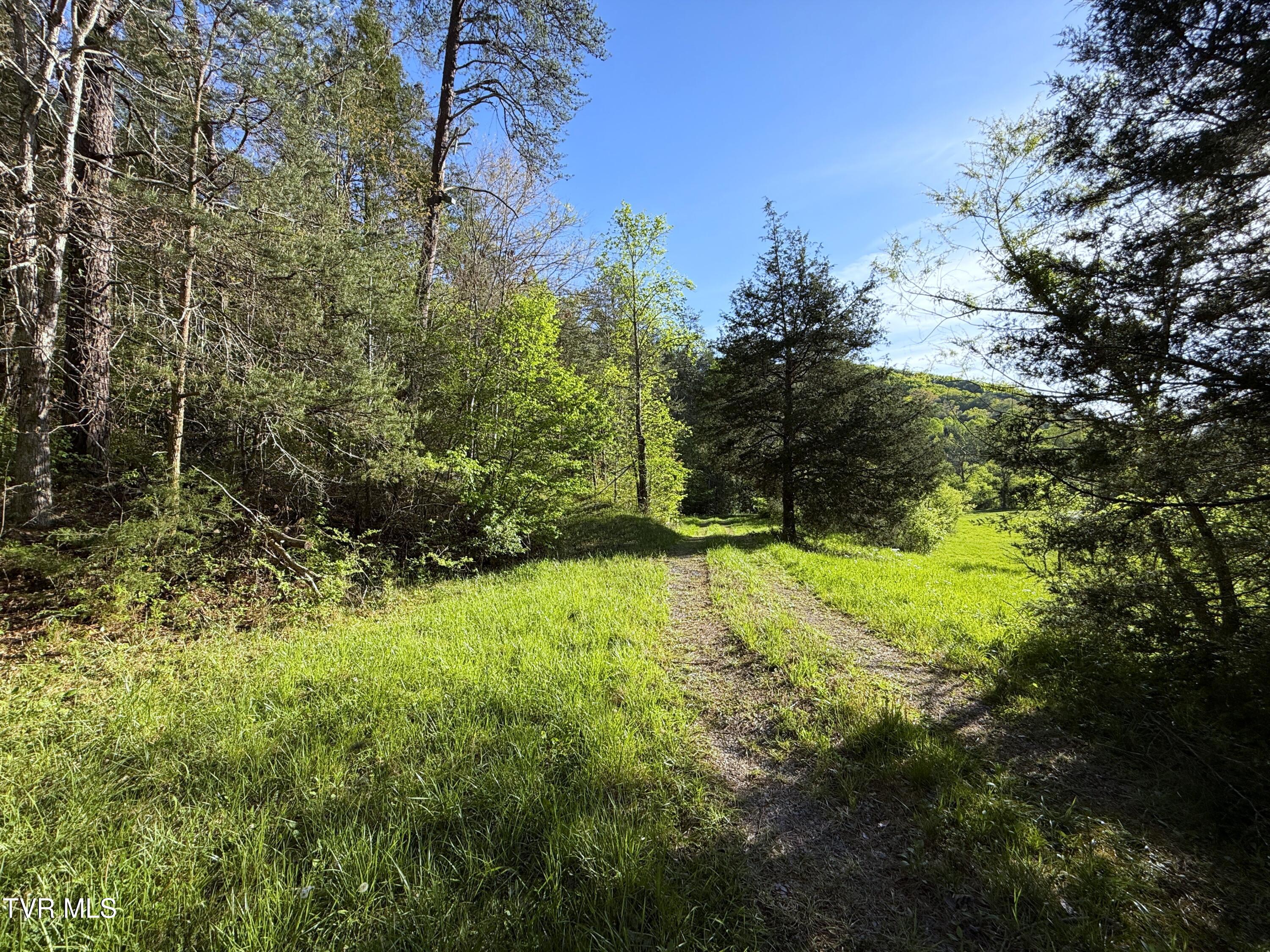 2930 Arch Way Cosby, TN 37722 - Photo 24 of 41 23a