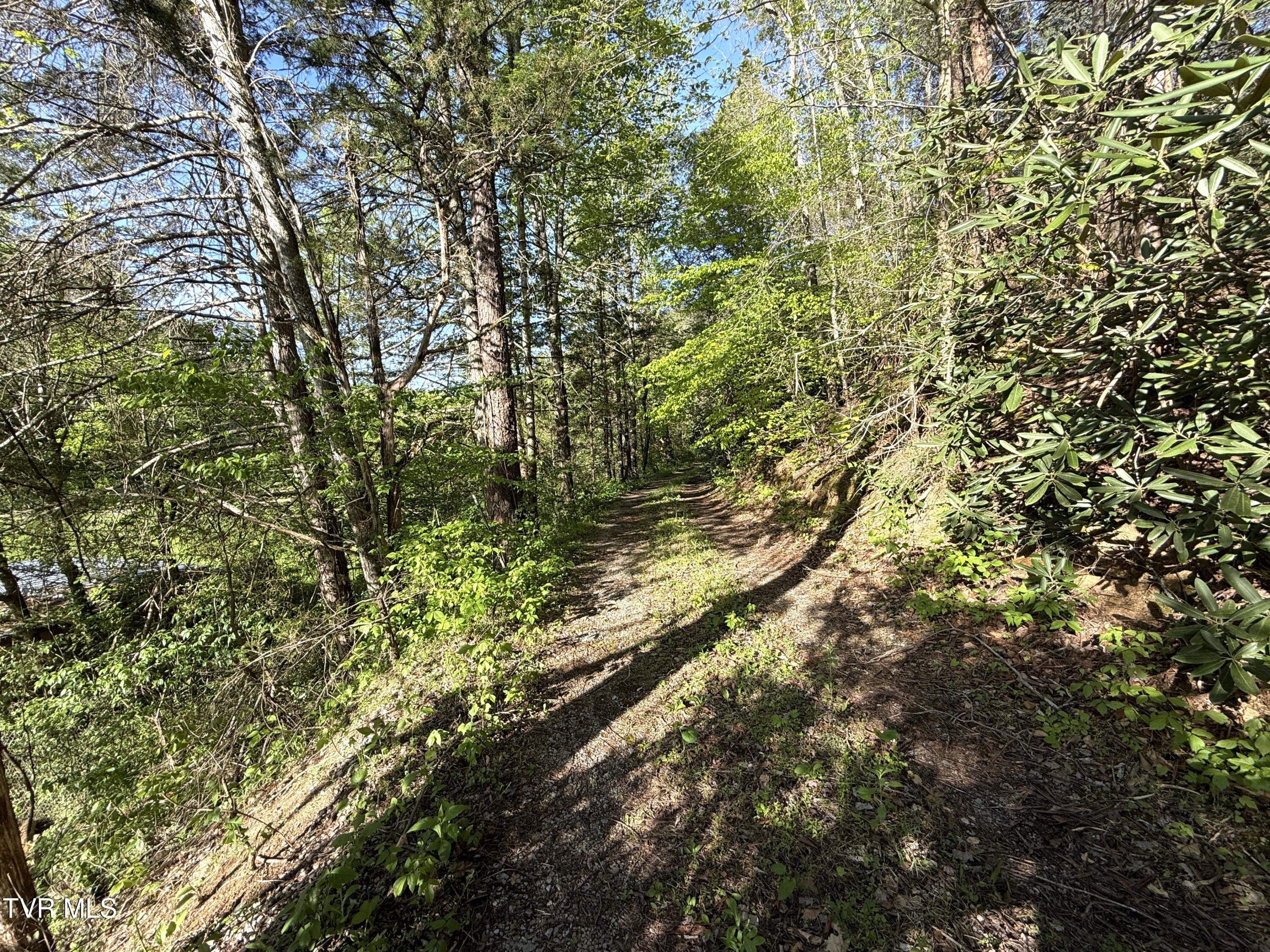 2930 Arch Way Cosby, TN 37722 - Photo 25 of 41 24