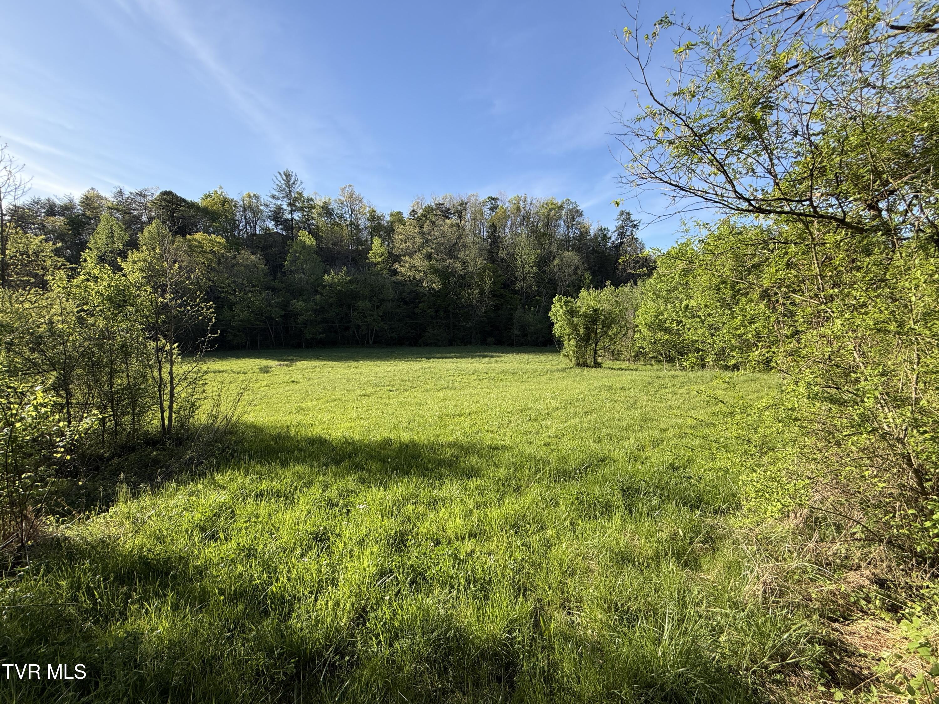 2930 Arch Way Cosby, TN 37722 - Photo 26 of 41 26