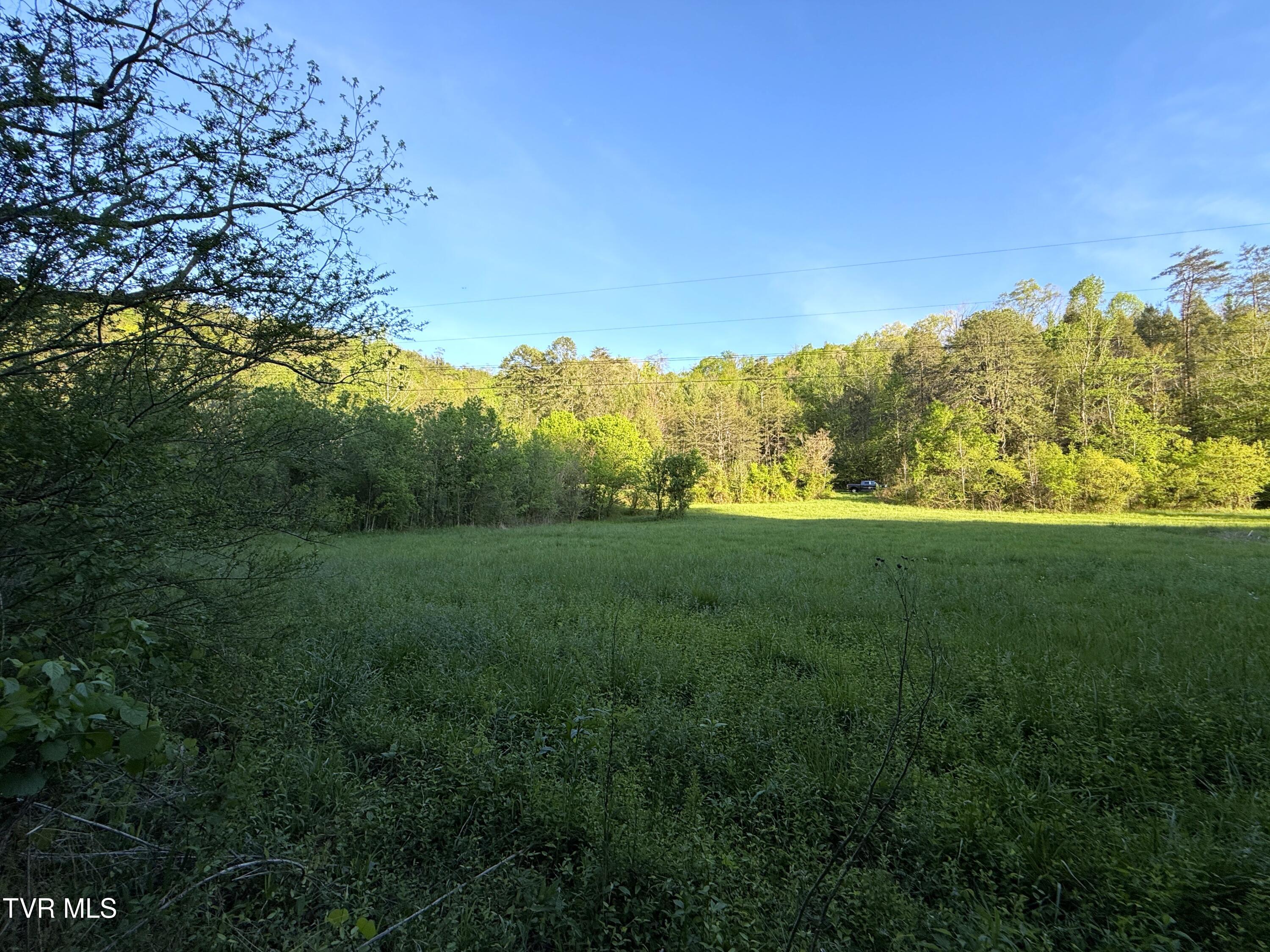 2930 Arch Way Cosby, TN 37722 - Photo 27 of 41 26a