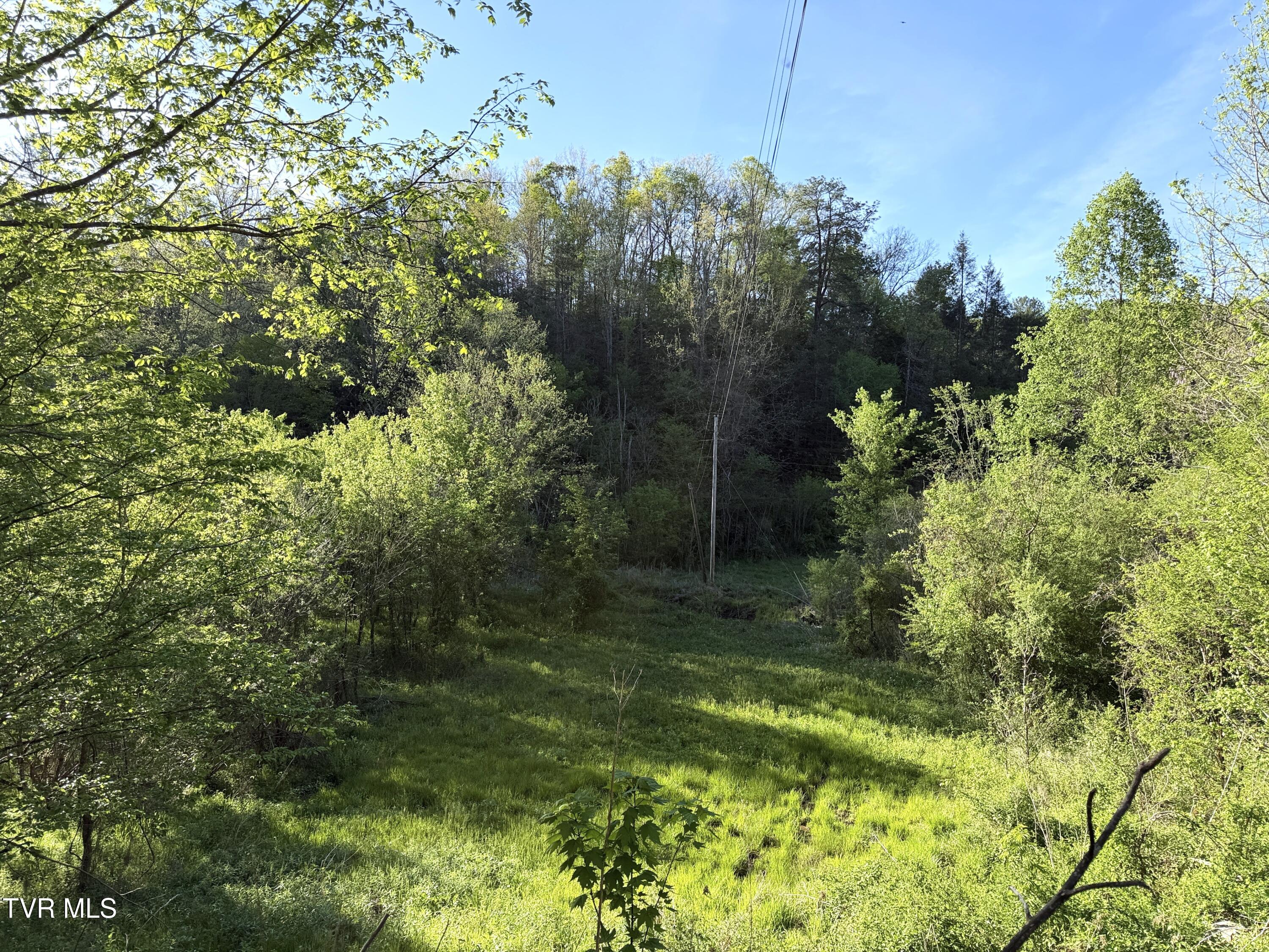 2930 Arch Way Cosby, TN 37722 - Photo 31 of 41 30