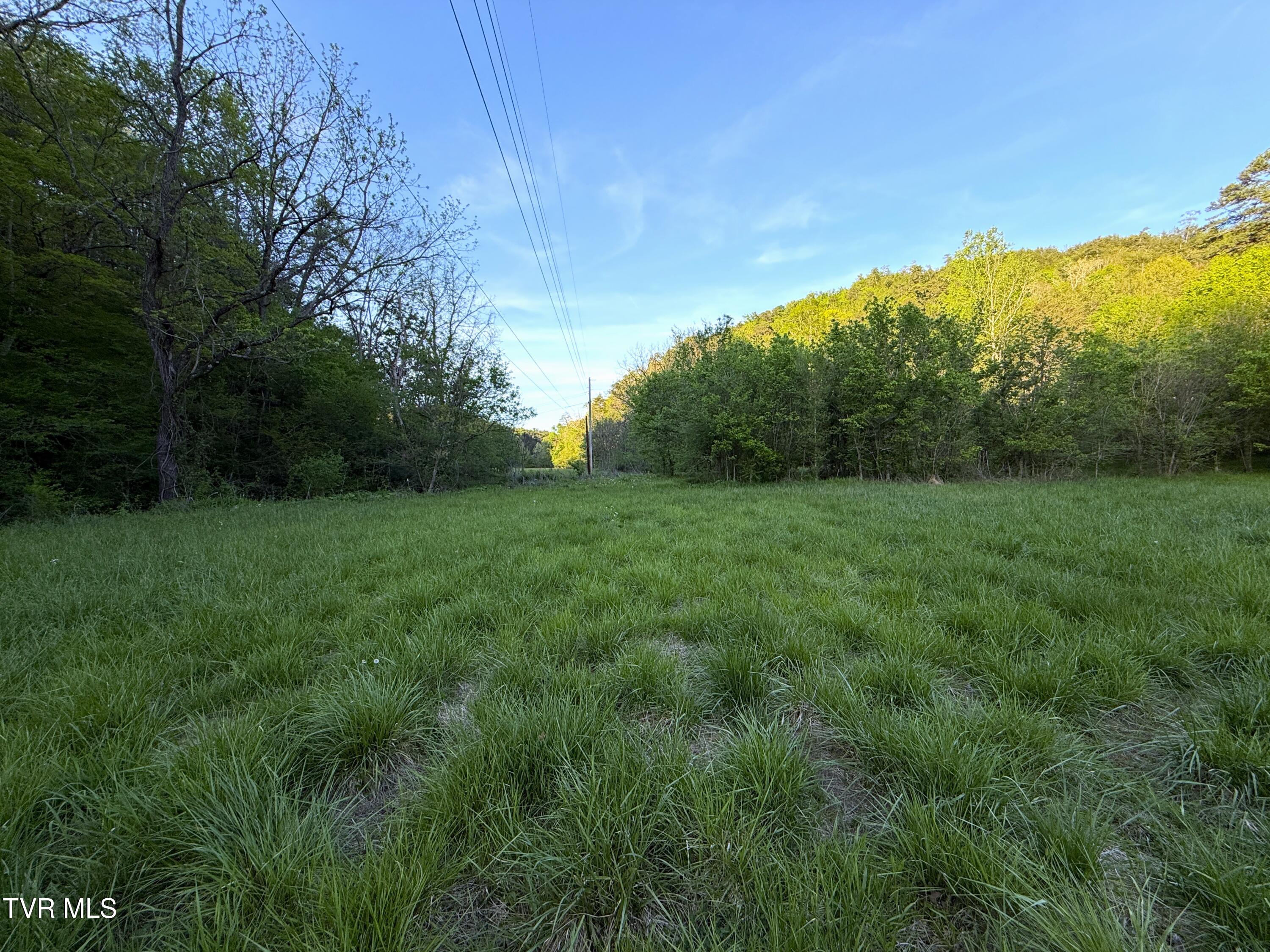 2930 Arch Way Cosby, TN 37722 - Photo 32 of 41 30a