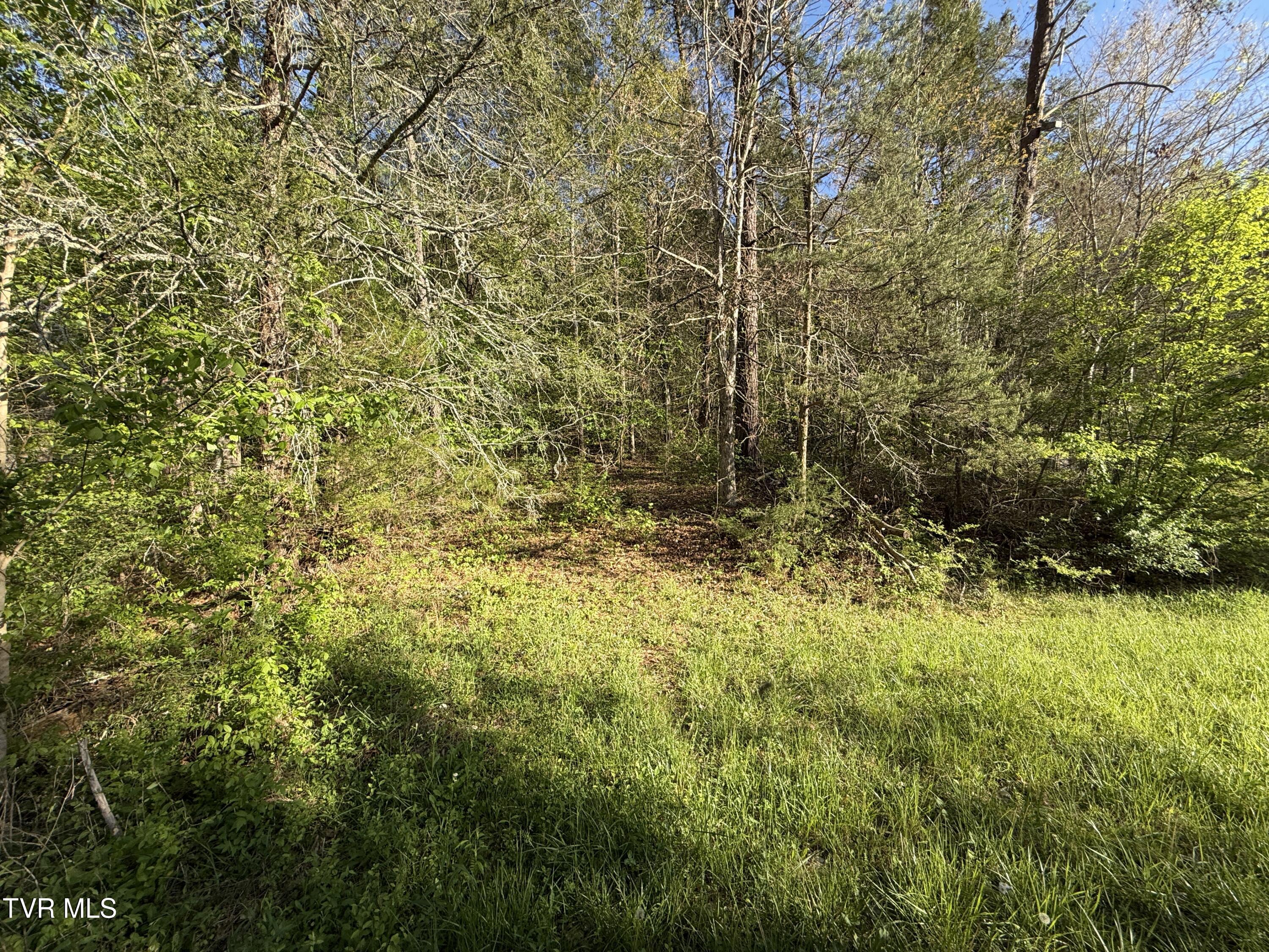 2930 Arch Way Cosby, TN 37722 - Photo 33 of 41 31