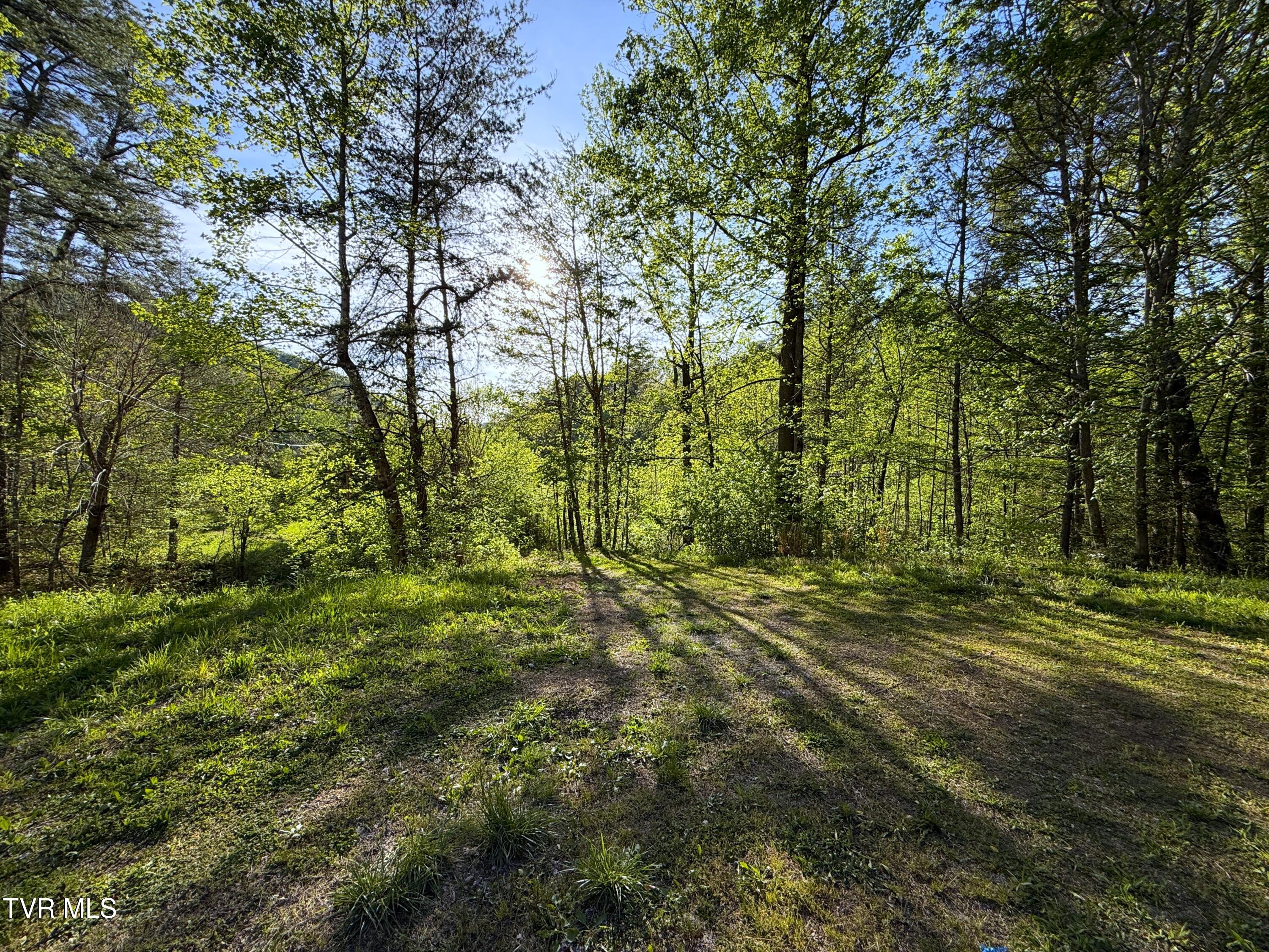 2930 Arch Way Cosby, TN 37722 - Photo 34 of 41 32