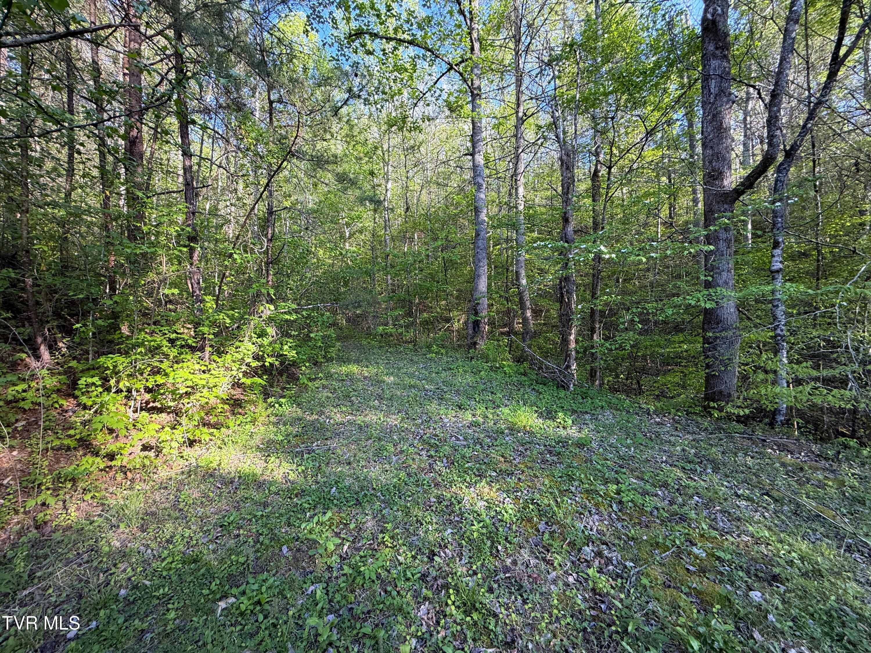 2930 Arch Way Cosby, TN 37722 - Photo 35 of 41 33