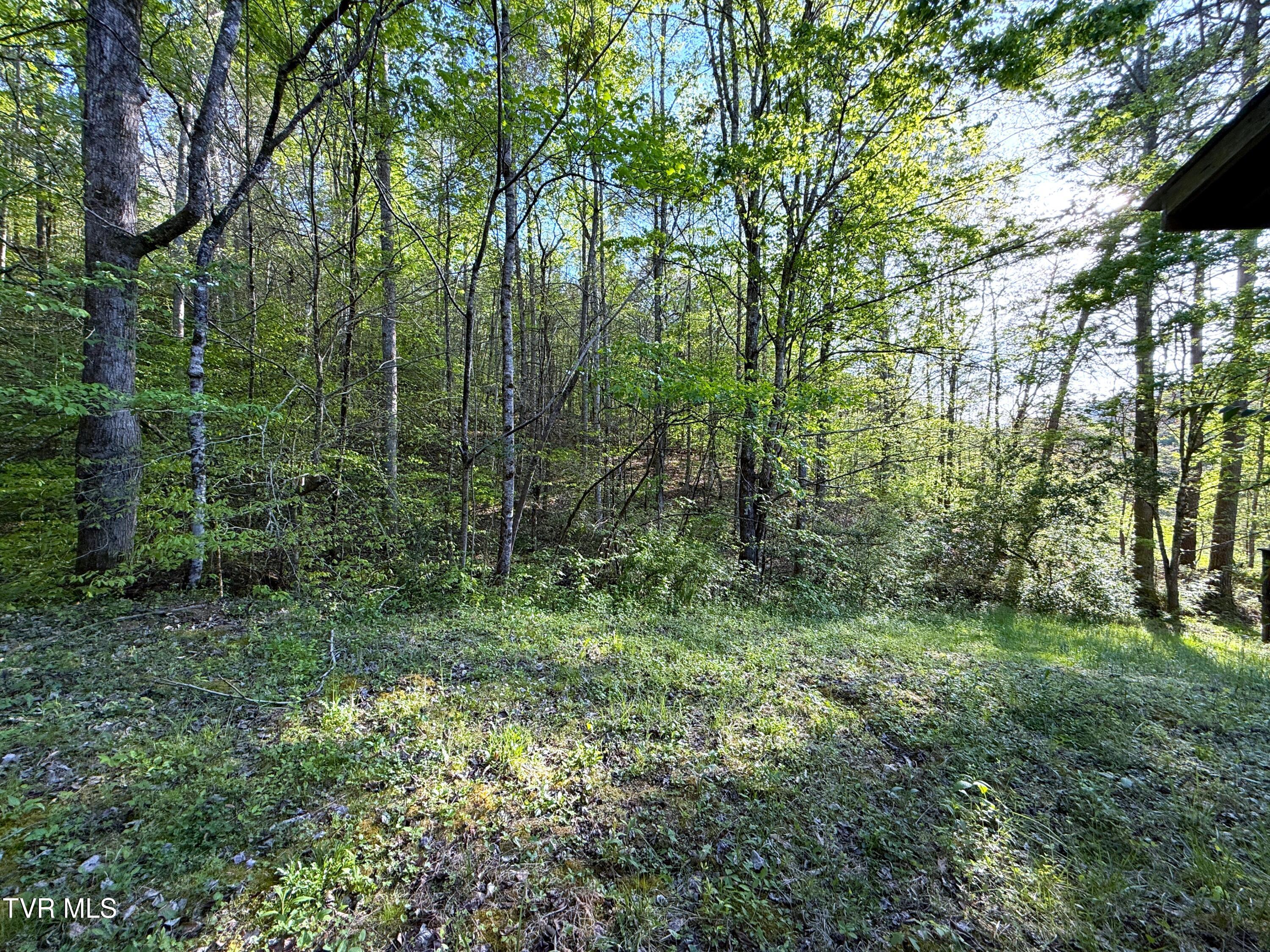 2930 Arch Way Cosby, TN 37722 - Photo 36 of 41 34
