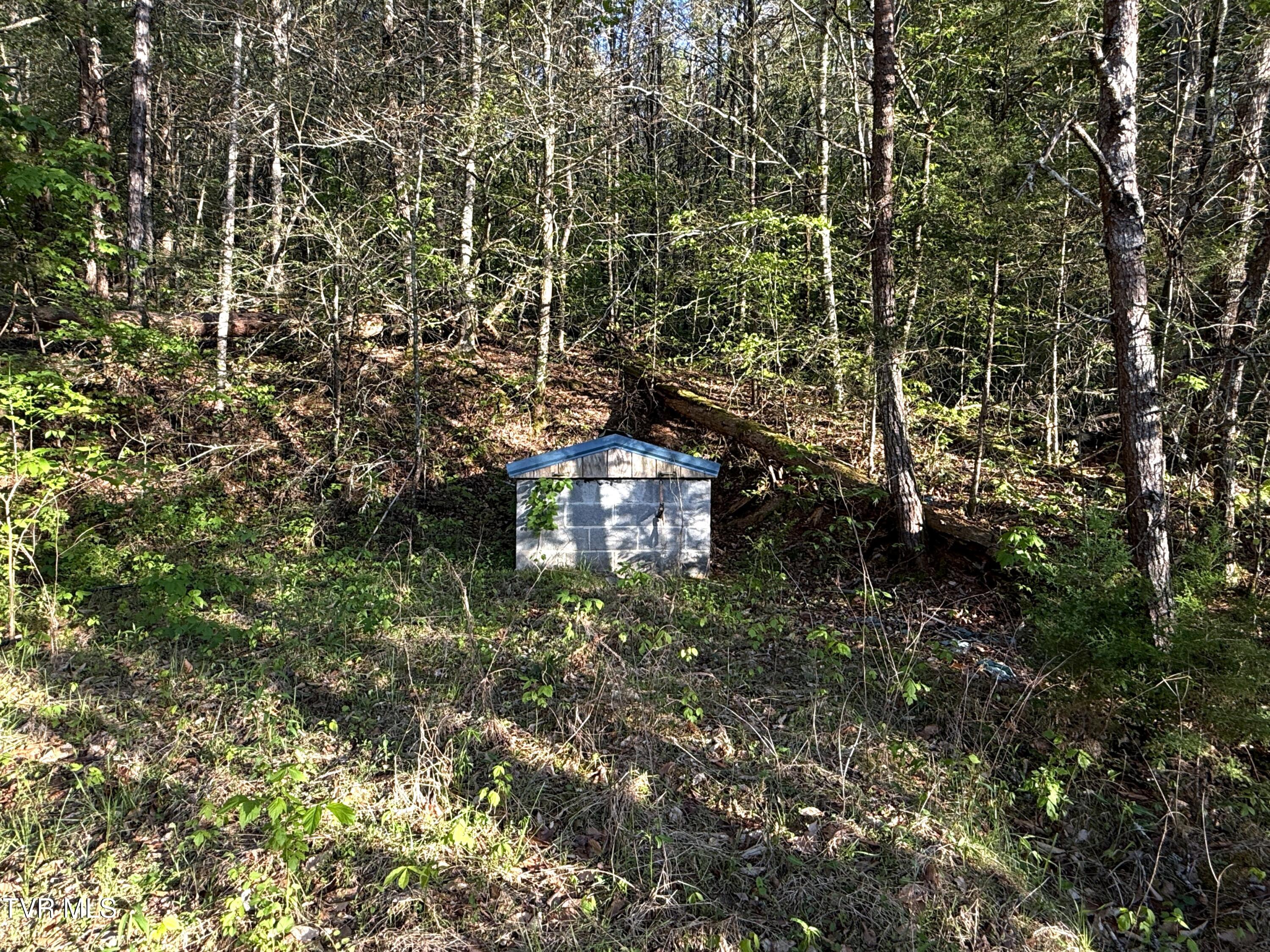 2930 Arch Way Cosby, TN 37722 - Photo 40 of 41 39