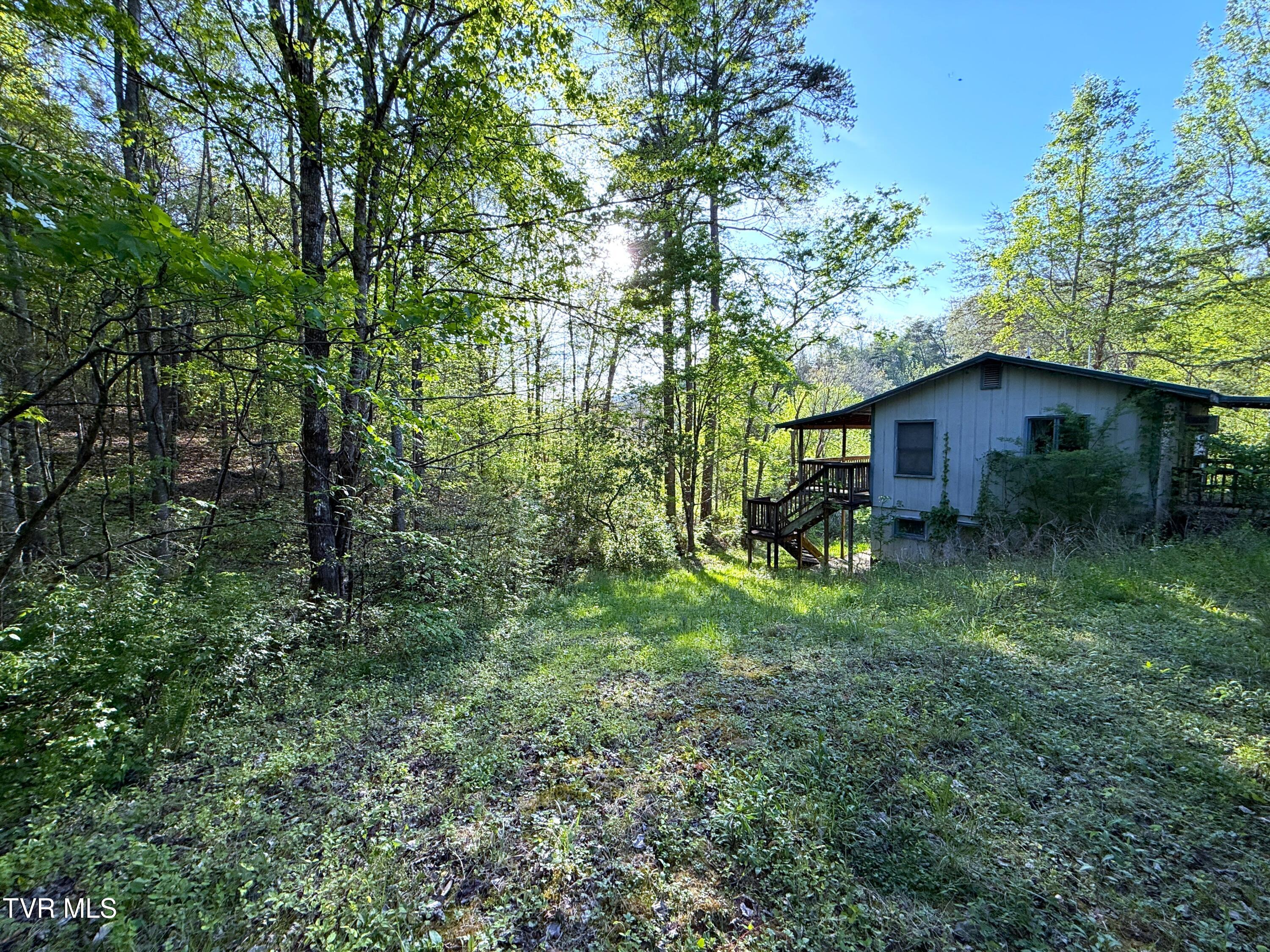 2930 Arch Way Cosby, TN 37722 - Photo 4 of 41 4