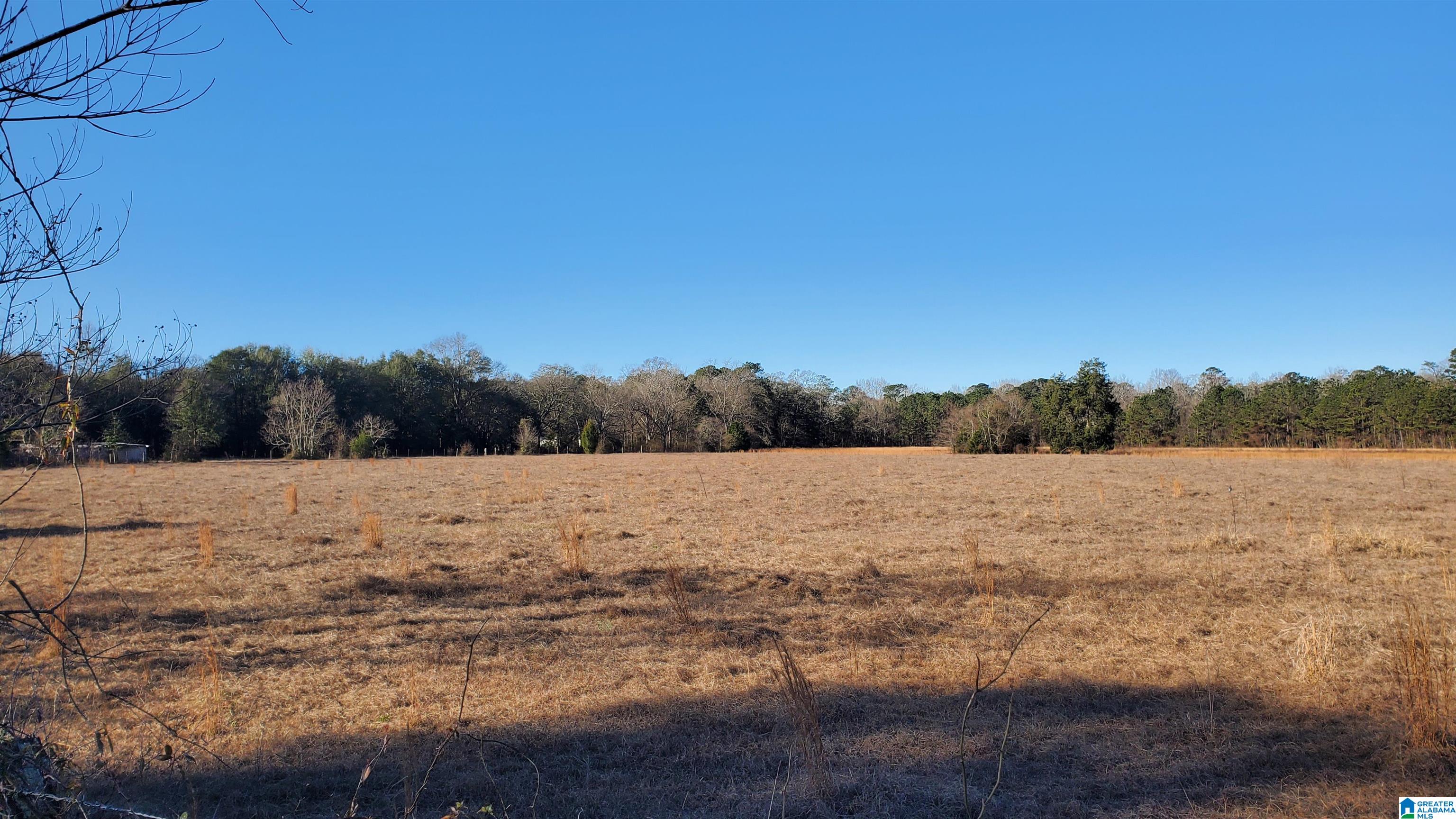 Sandtown Road, Unit 1 Millbrook, AL 36054 - Photo 5 of 11