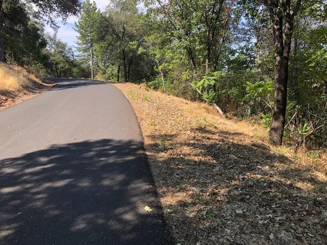 a view of a yard with a tree