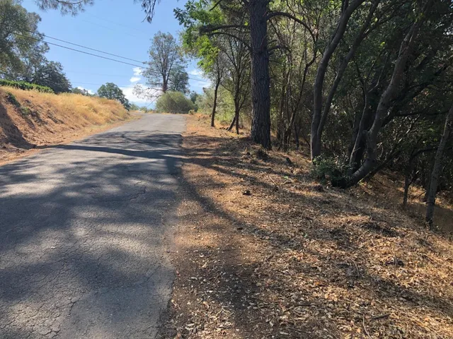 a view of dirt yard with a large tree