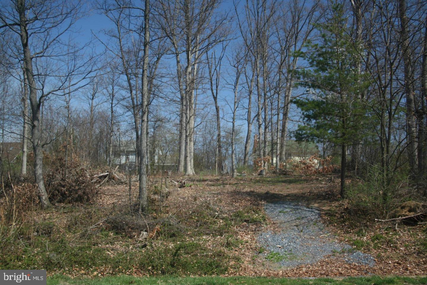 a view of a yard with trees in the background