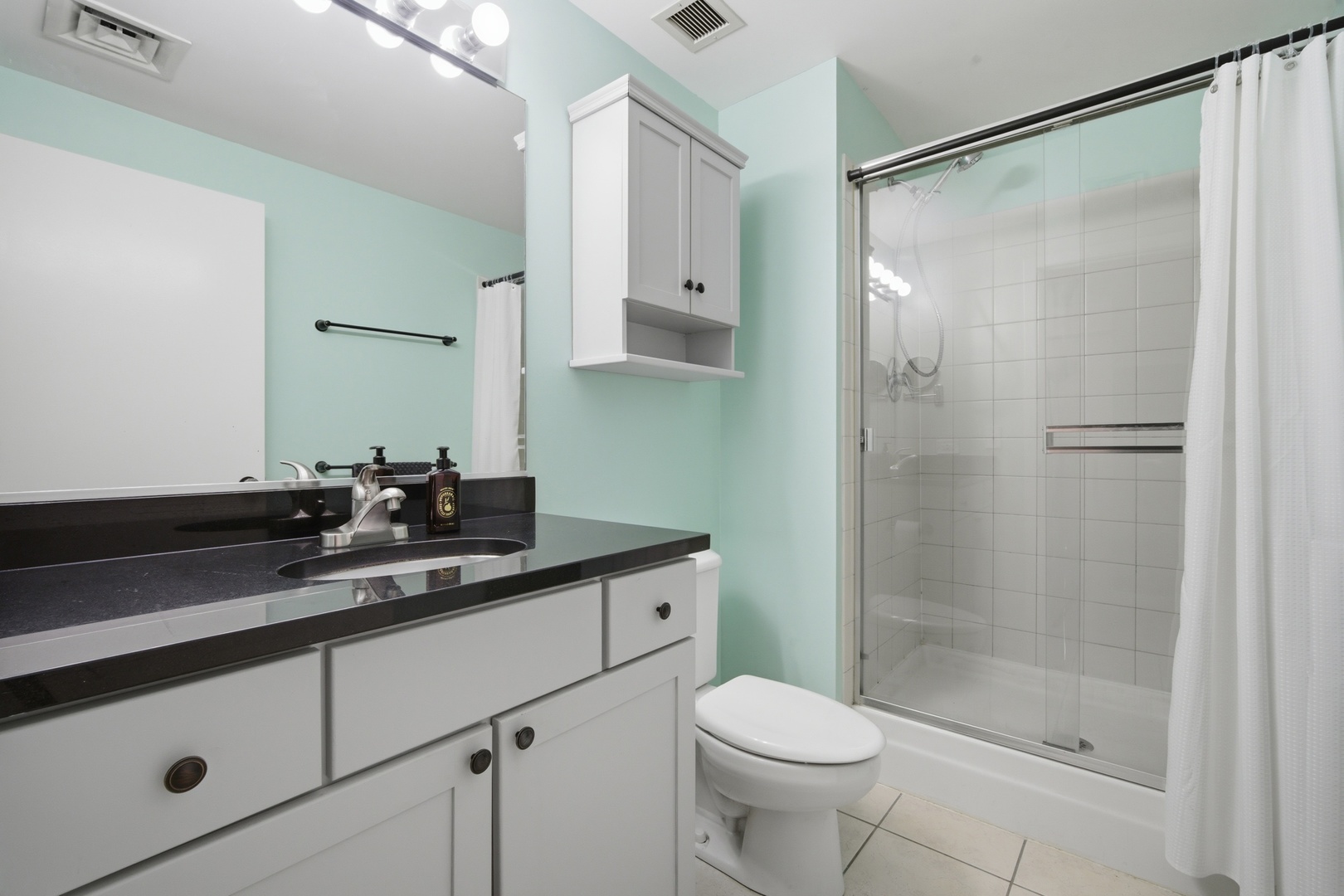 208 West Washington Street, Unit 910 Chicago, IL 60606 - Photo 14 of 18 a bathroom with a shower sink vanity mirror and toilet