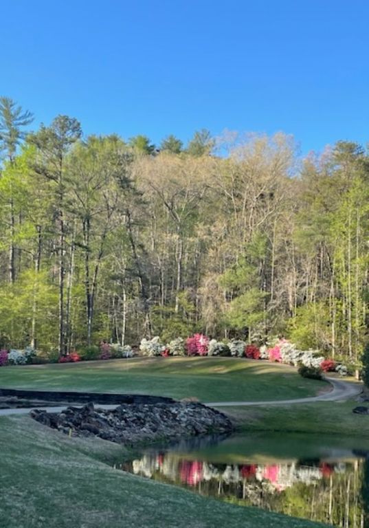 154 Broken Bow Run Pickens, SC 29671 - Photo 5 of 47