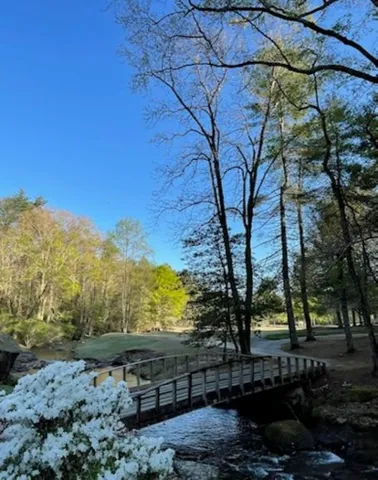 $750,000 | 154 Broken Bow Run, Pickens, SC 29671