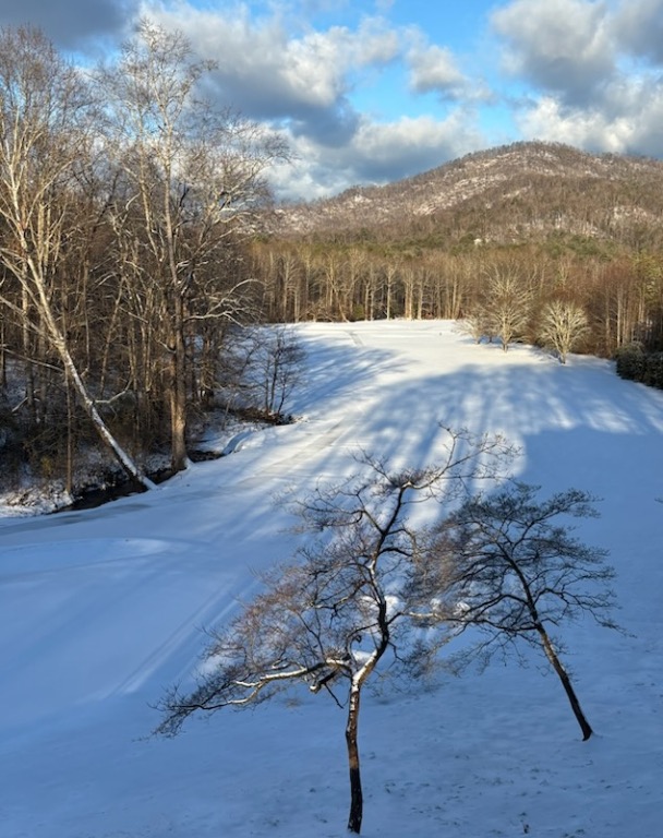 154 Broken Bow Run Pickens, SC 29671 - Photo 10 of 47
