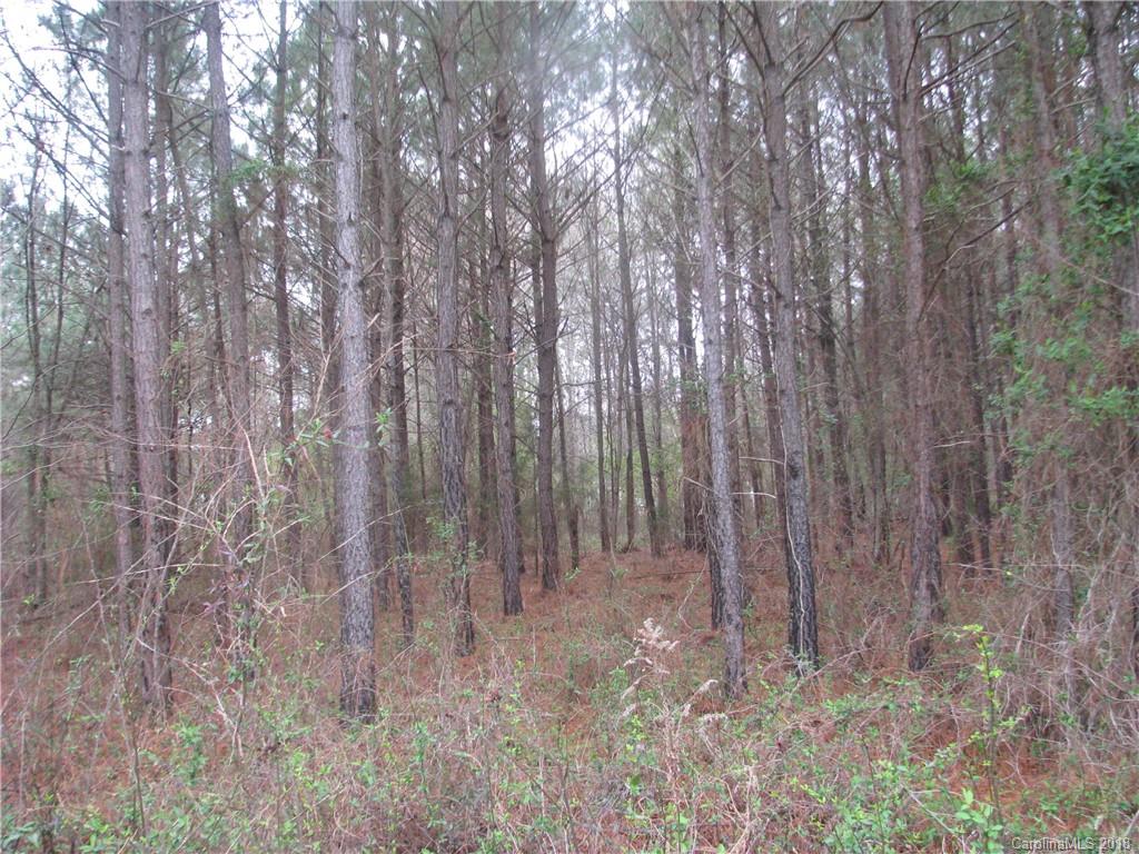 18-ac Murdock Road Richburg, SC 29729 - Photo 3 of 7 Gallery Image 3