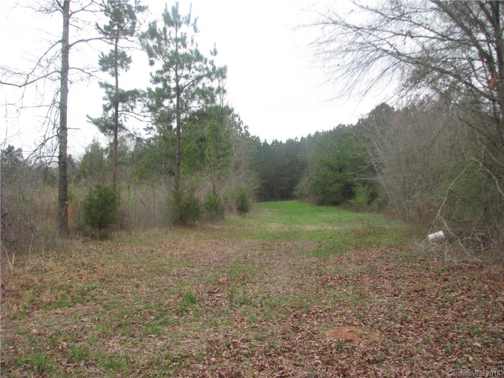 18-ac Murdock Road Richburg, SC 29729 - Photo 4 of 7 Gallery Image 4