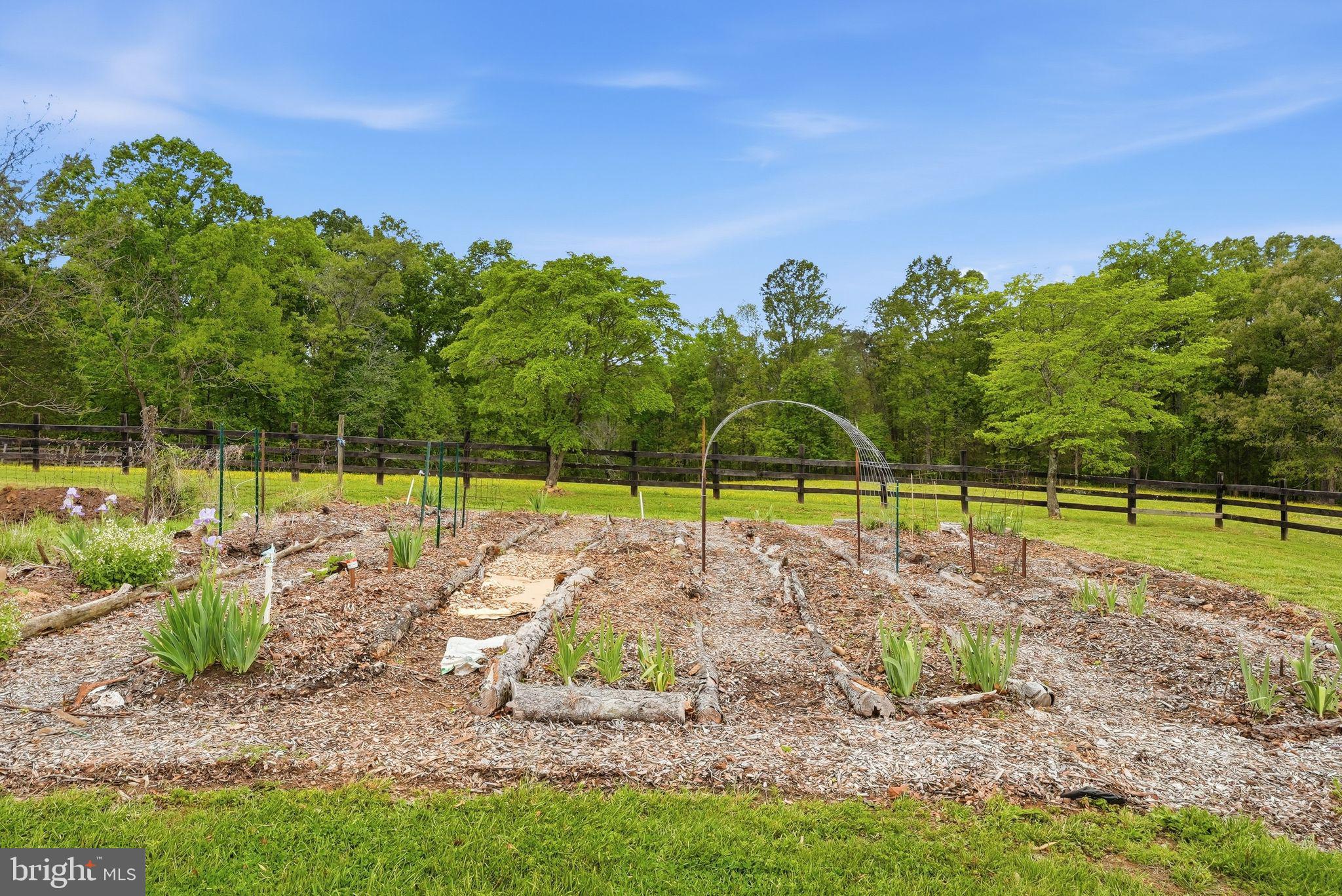 481 James City Road Leon, VA 22725 - Photo 72 of 89 a view of a park