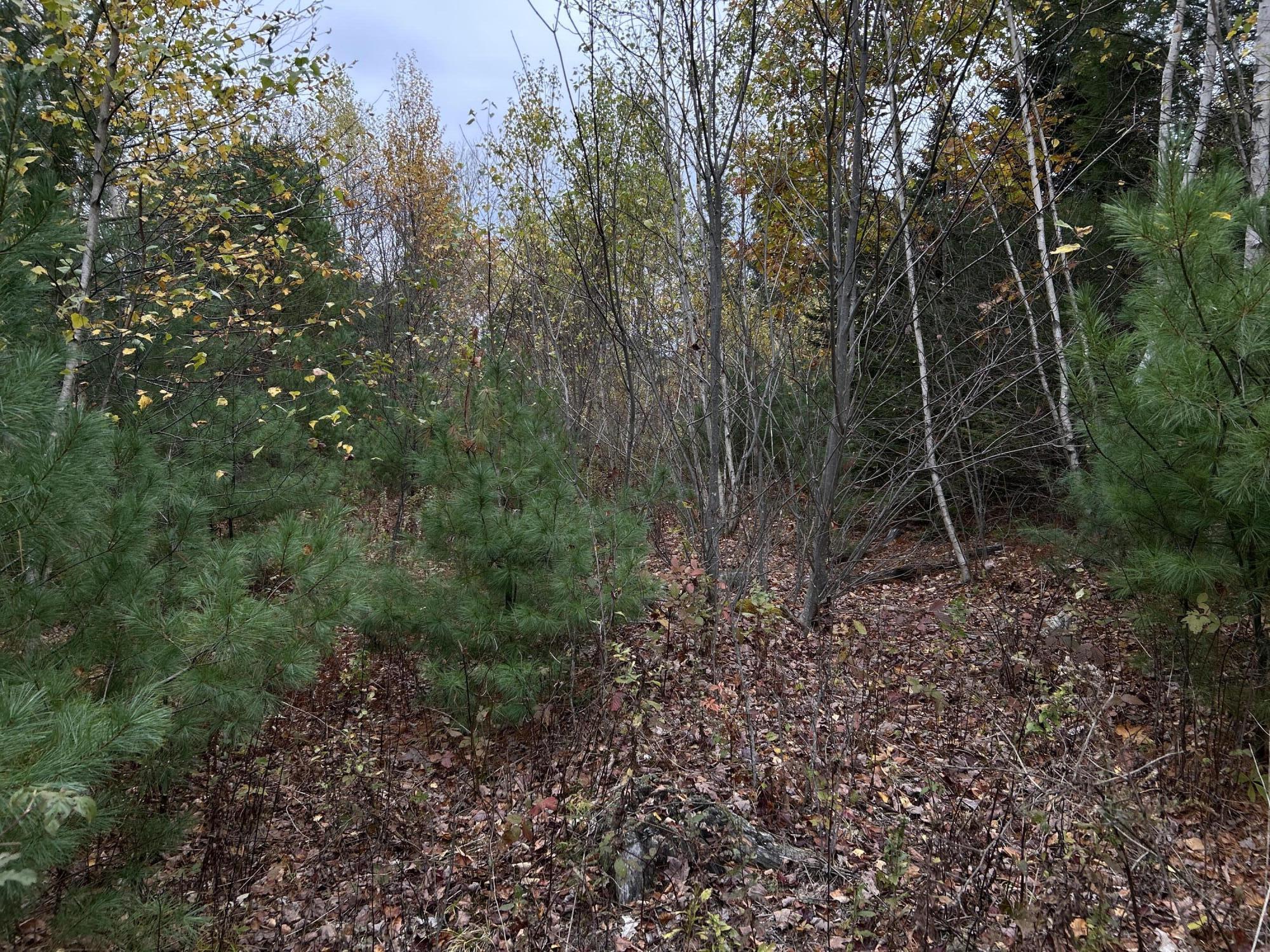 401 Genthner Road Waldoboro, ME 04572 - Photo 31 of 35