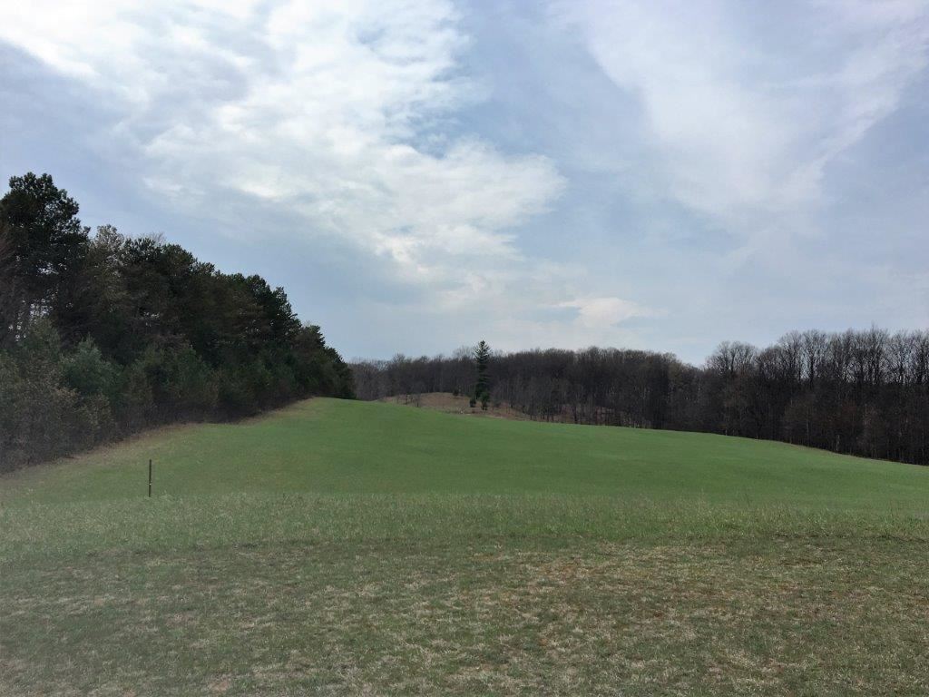 4045 North 41 Road Manton, MI 49663 - Photo 5 of 42 1815072-4.JPG