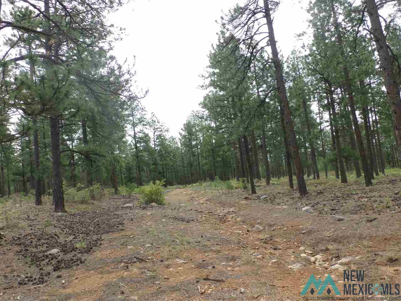 Tract B Goathill Road Las Vegas, NM 87701 - Photo 1 of 1