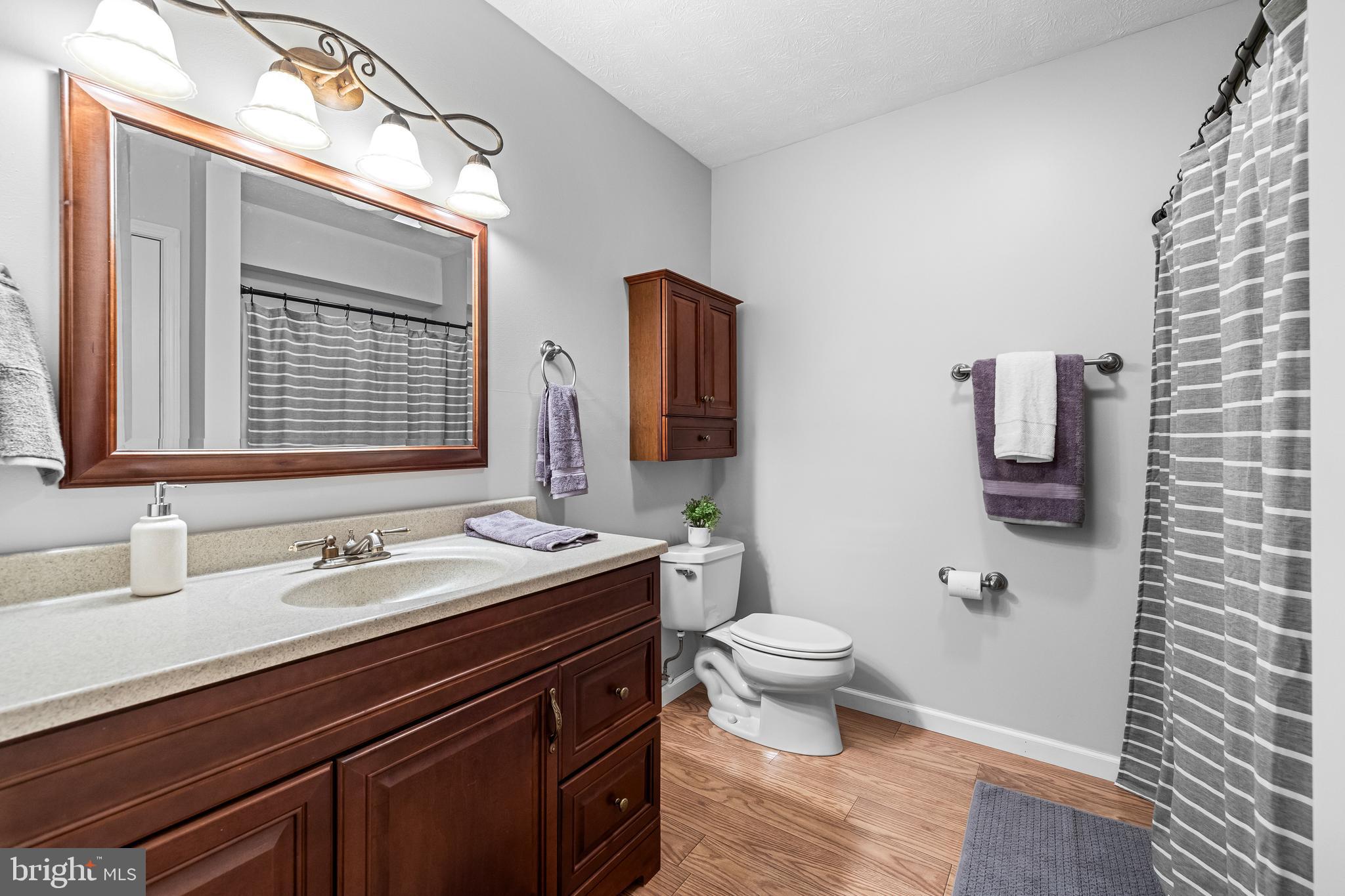 431 Salt Lake Road Fawn Grove, PA 17321 - Photo 41 of 69 Full bathroom in basement
