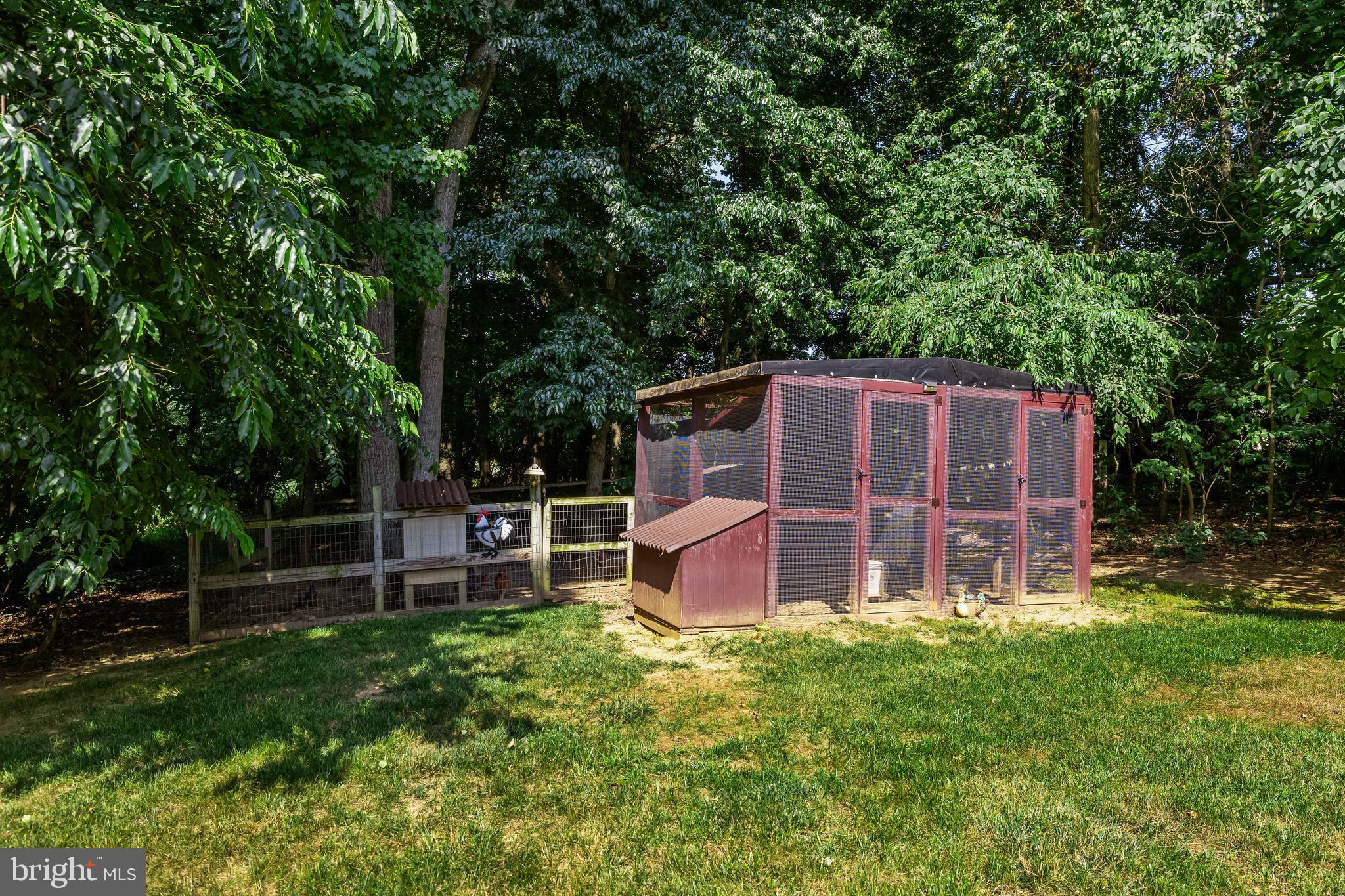 431 Salt Lake Road Fawn Grove, PA 17321 - Photo 52 of 69 Chicken Coop