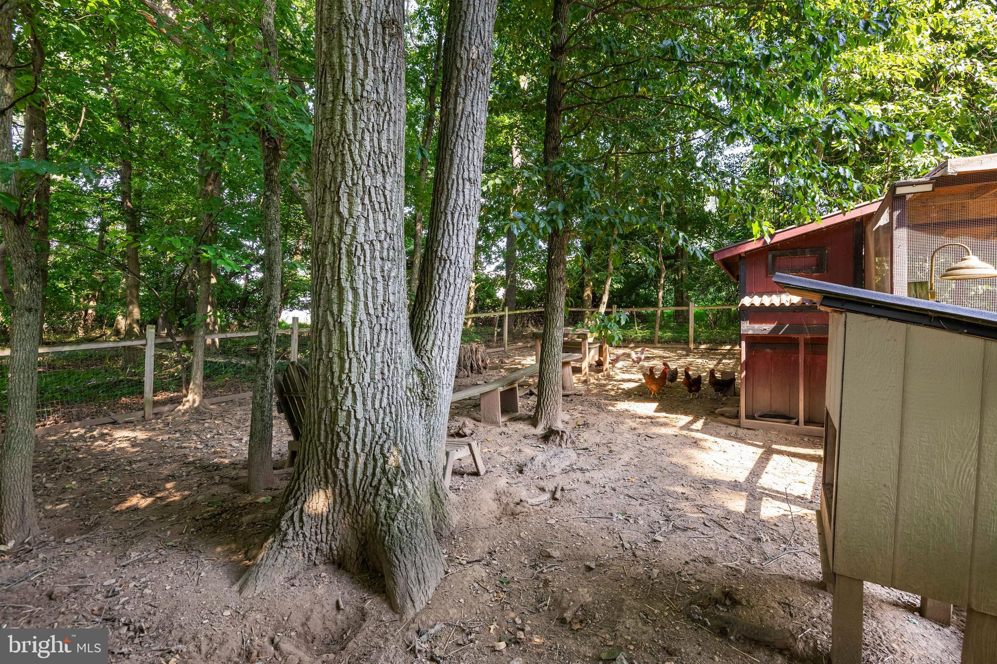 431 Salt Lake Road Fawn Grove, PA 17321 - Photo 53 of 69 Chicken Run