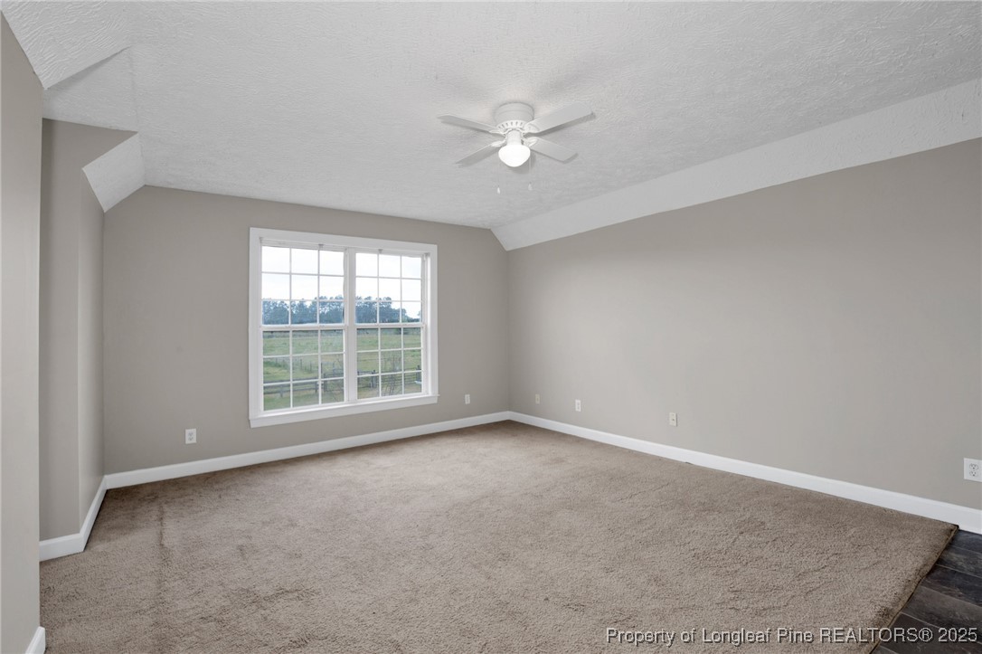 474 North Horace Walters Road Raeford, NC 28376 - Photo 29 of 48