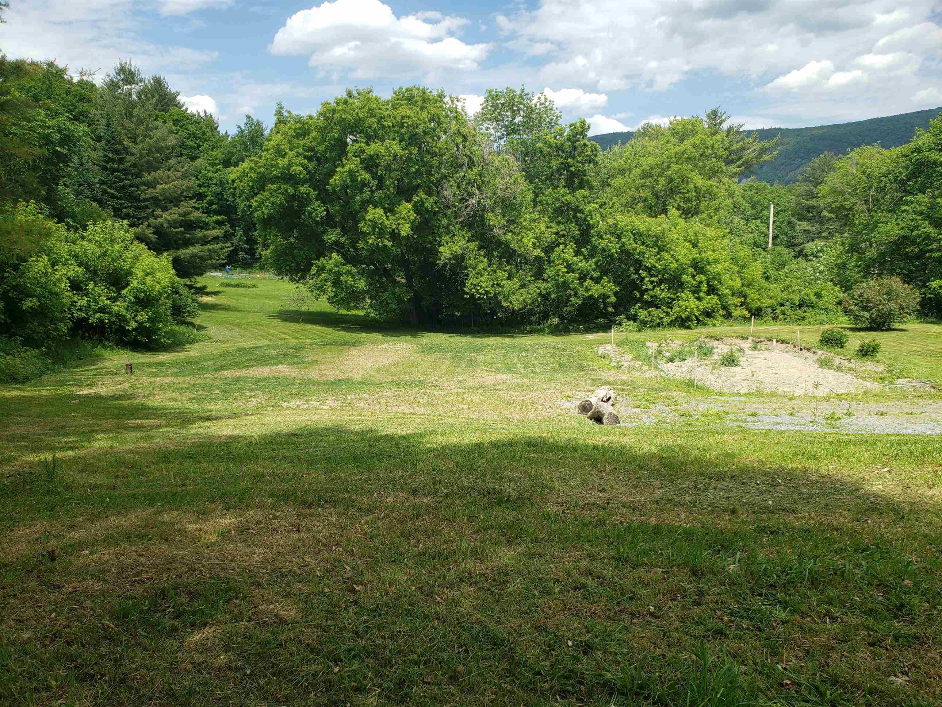 326 River Road Bristol, VT 05443 - Photo 7 of 21