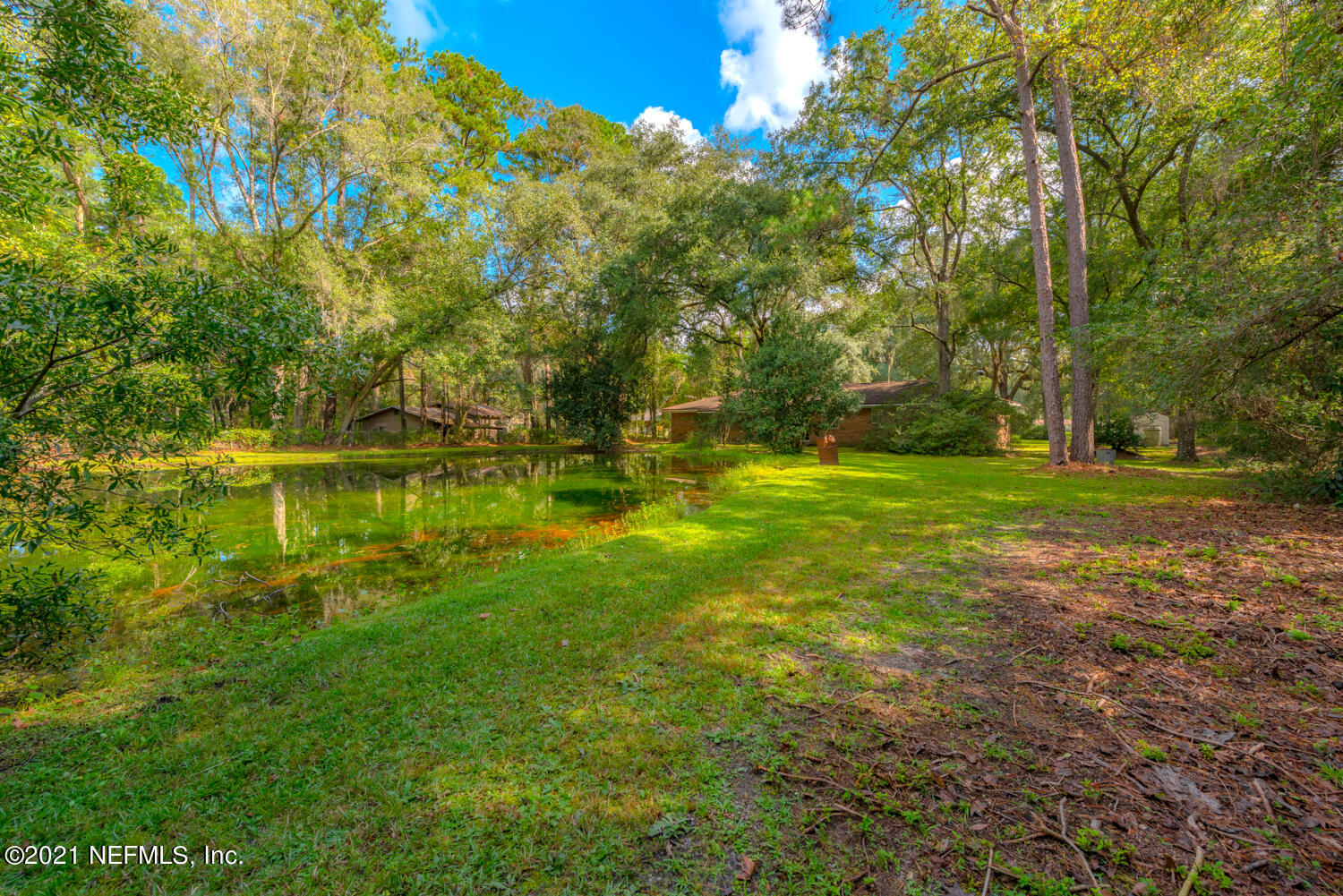 540259 Lem Turner Road Callahan, FL 32011 - Photo 26 of 40 a backyard of a house with lots of green space