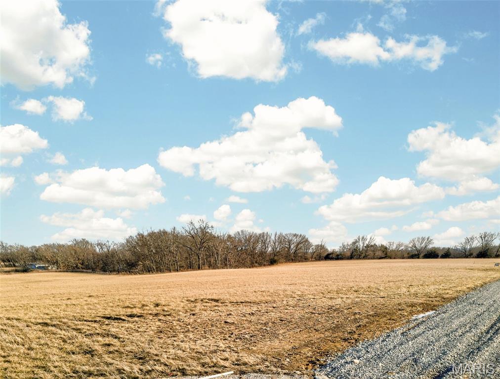 110 Cheatham Farm Lane Troy, MO 63379 - Photo 7 of 32