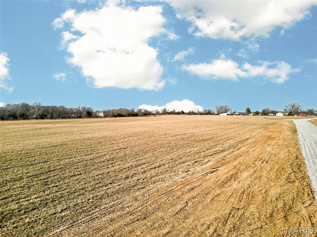 110 Cheatham Farm Lane Troy, MO 63379 - Photo 8 of 32