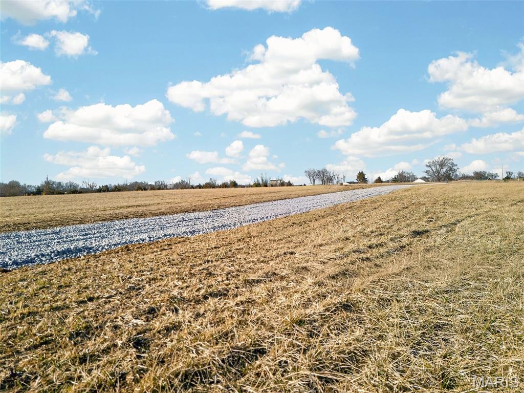 110 Cheatham Farm Lane Troy, MO 63379 - Photo 9 of 32