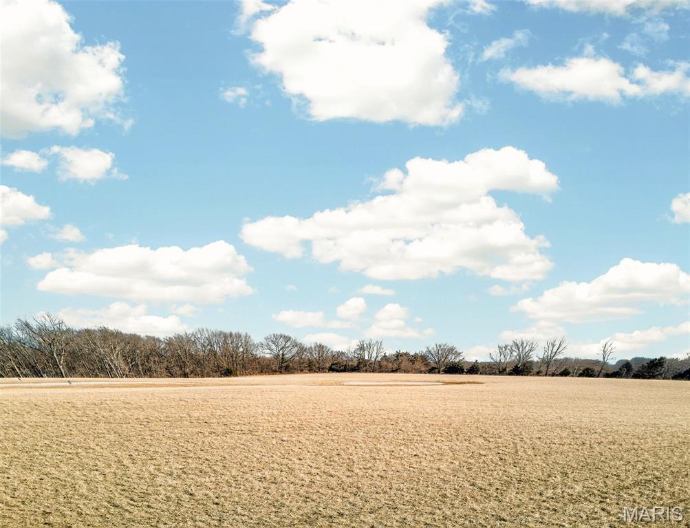 110 Cheatham Farm Lane Troy, MO 63379 - Photo 10 of 32