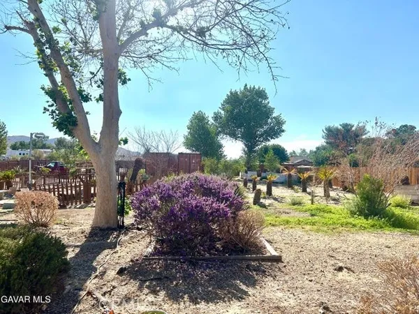 a view of outdoor space and yard