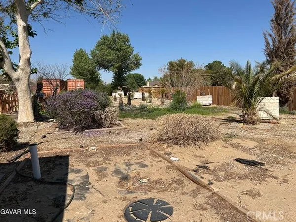 a view of a yard with a tree
