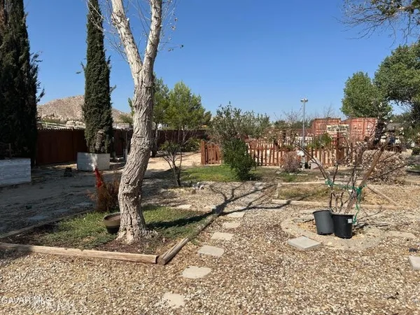 a view of a yard with plants