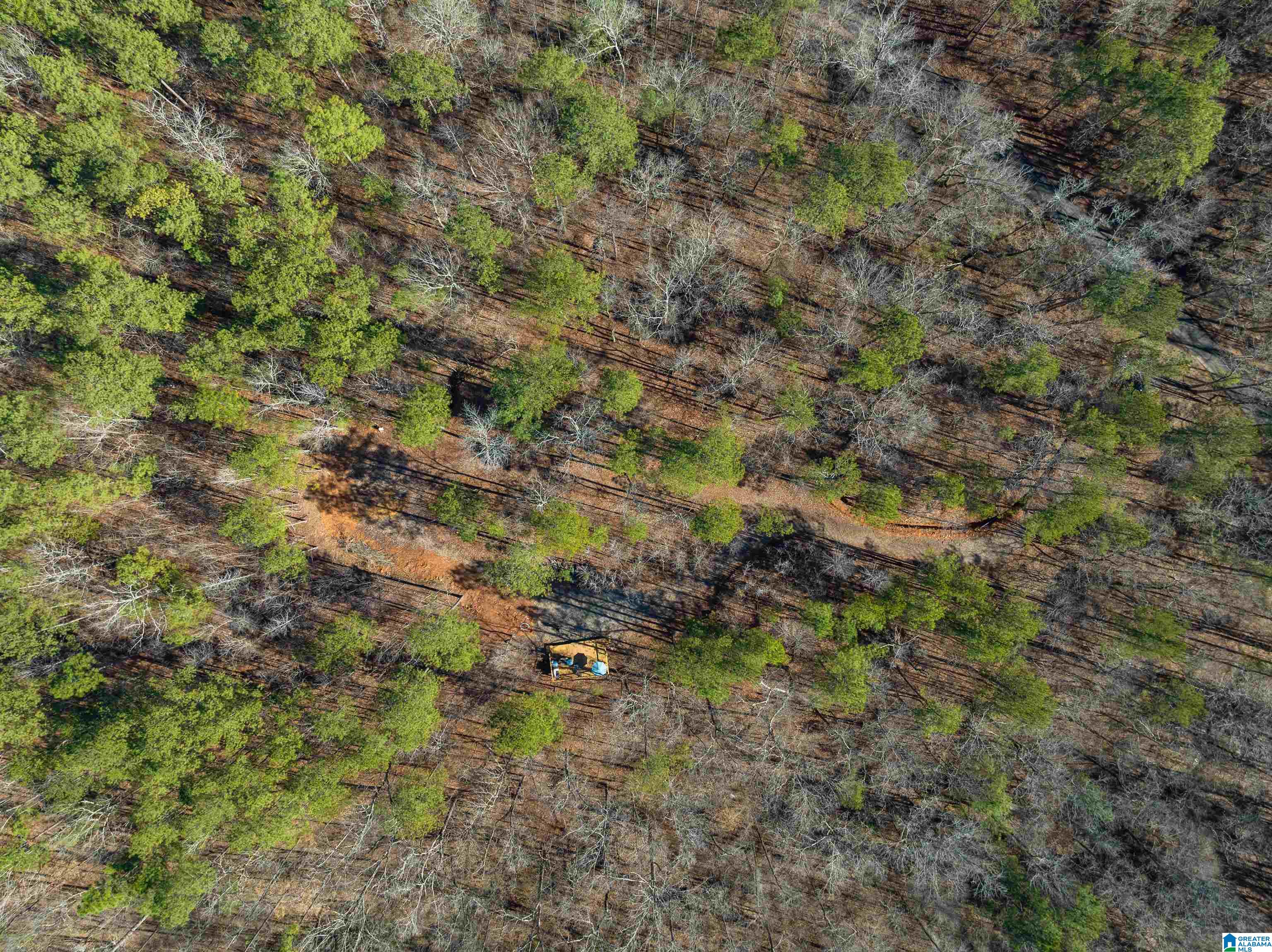 3659 McClendon Chapel Road, Unit 2 Bessemer, AL 35022 - Photo 13 of 44