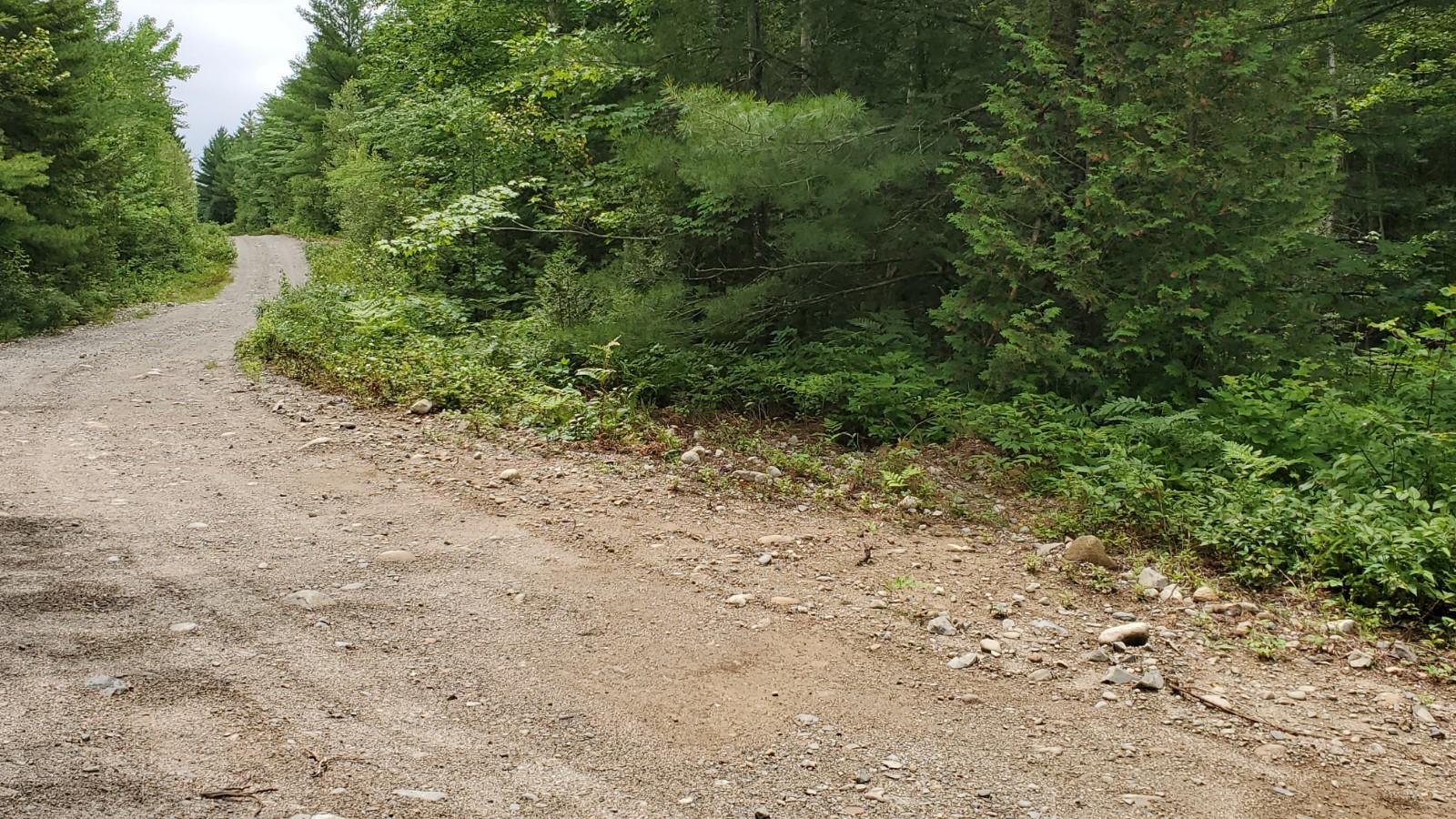 Lot 6 82-06-0 Road Wesley, ME 04686 - Photo 4 of 10 20210715_114323
