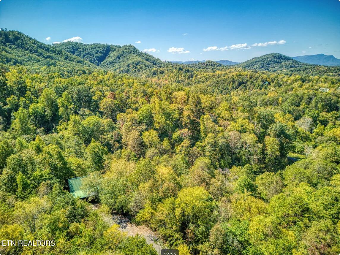 1815 Maranohe Way Sevierville, TN 37862 - Photo 26 of 26 Screenshot 2025-11-21 at 11-48-17 Red Oa