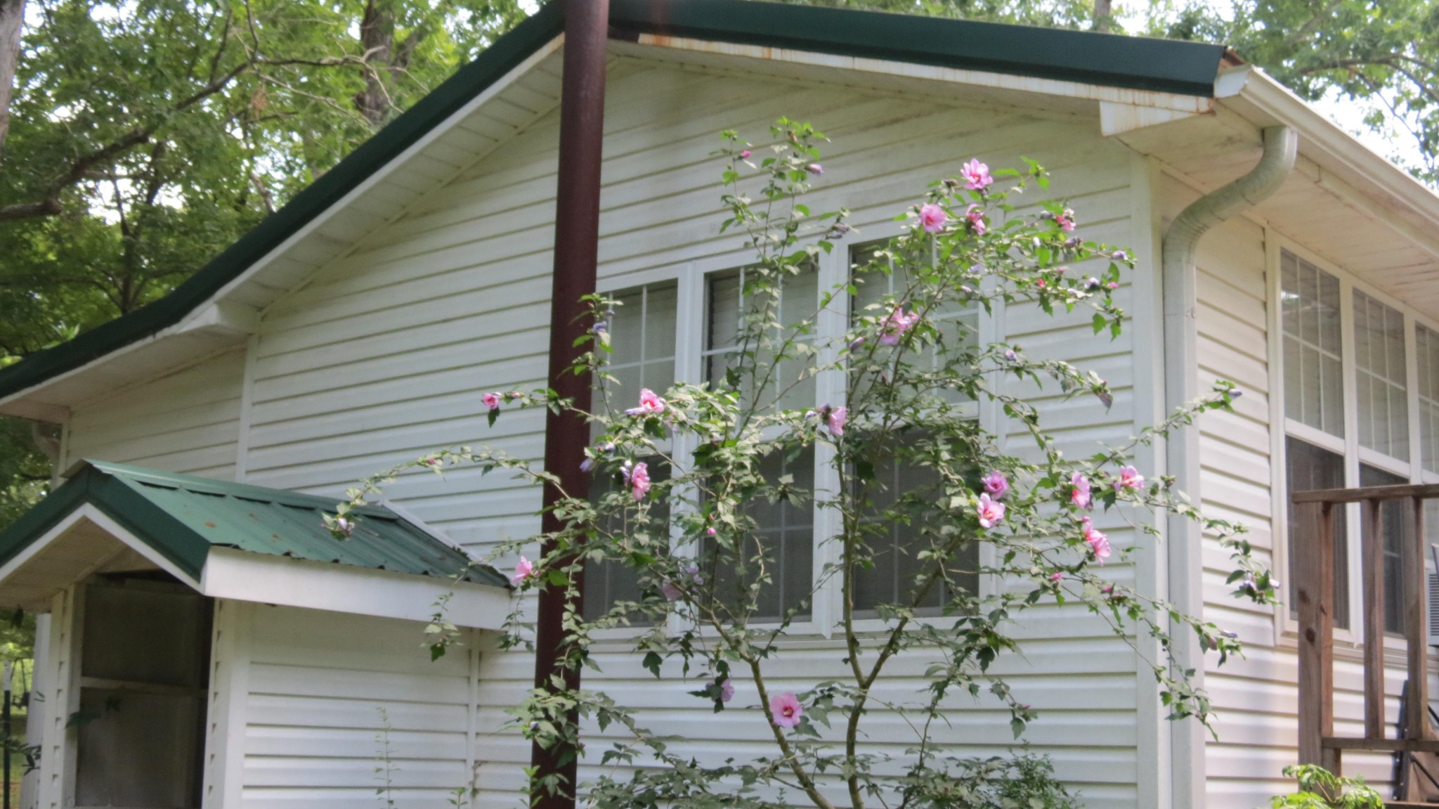 2591 Haney School Road Decaturville, TN 38329 - Photo 14 of 50 Gallery Image 14