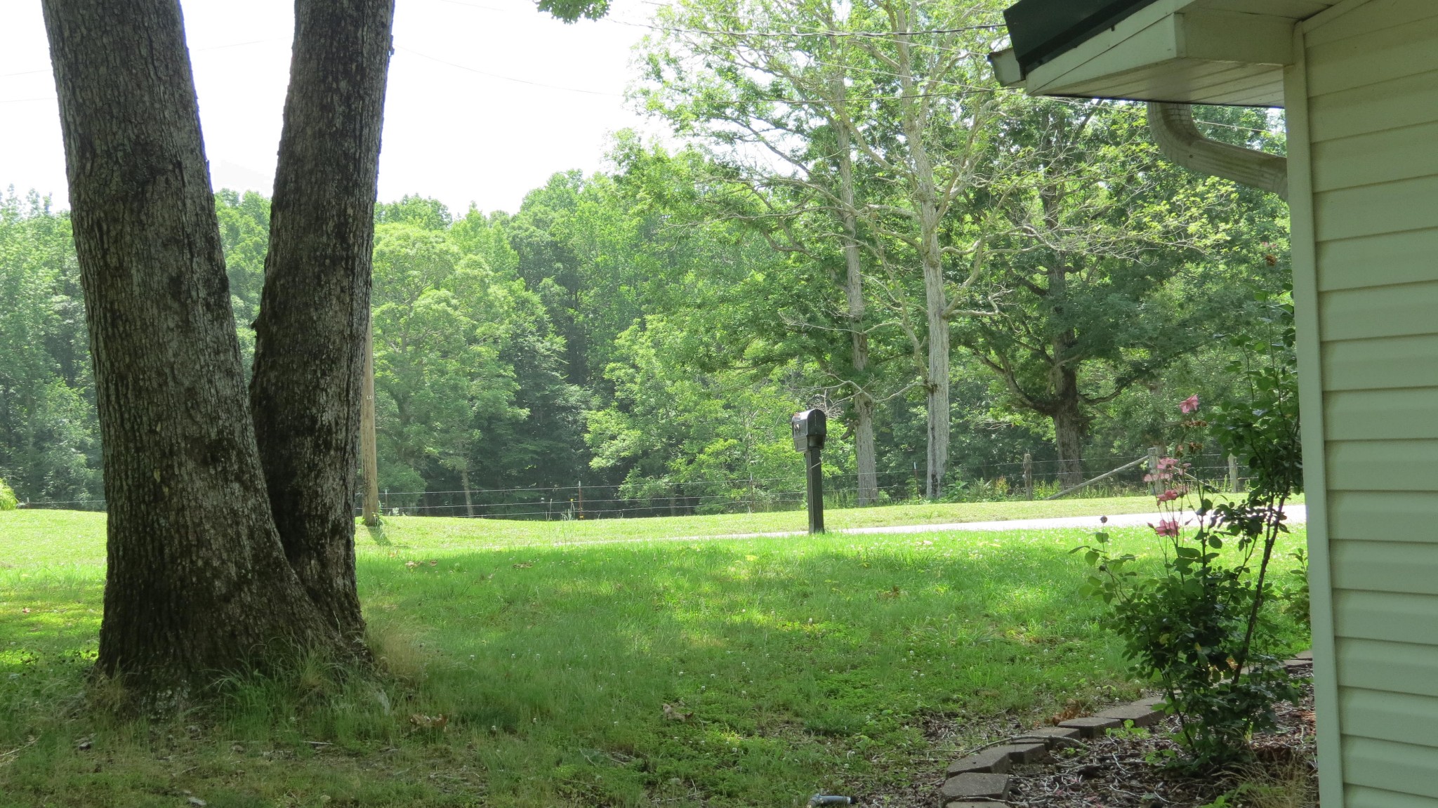 2591 Haney School Road Decaturville, TN 38329 - Photo 26 of 50 Gallery Image 26