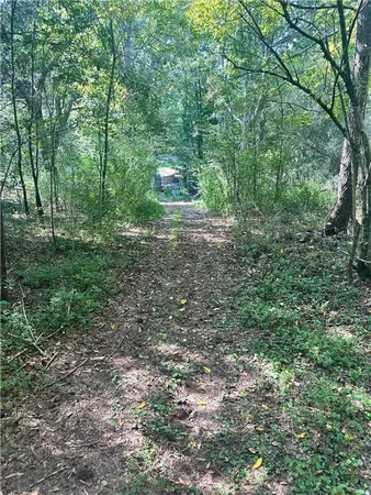 a view of outdoor space and trees