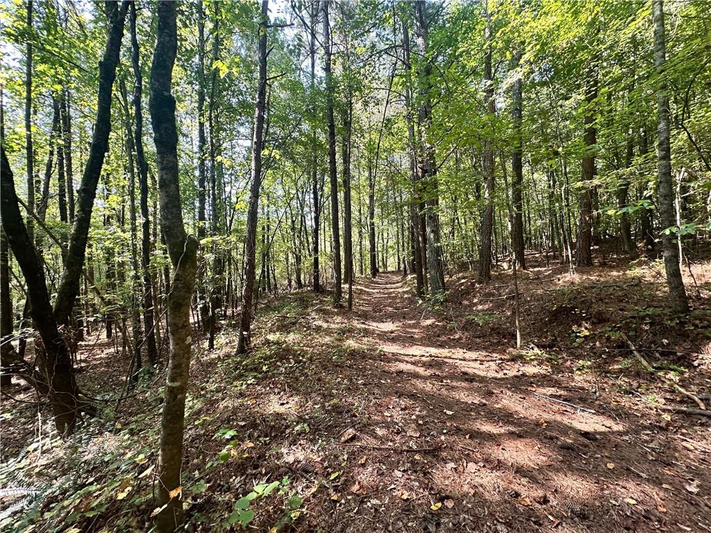 7330 Frix Road Cumming, GA 30028 - Photo 12 of 12 a view of outdoor space and trees